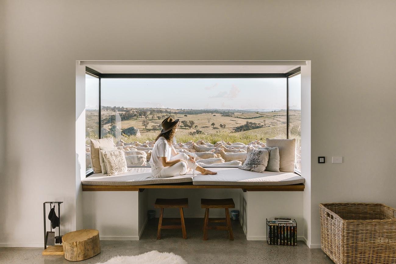 Sheep and a view.jpg