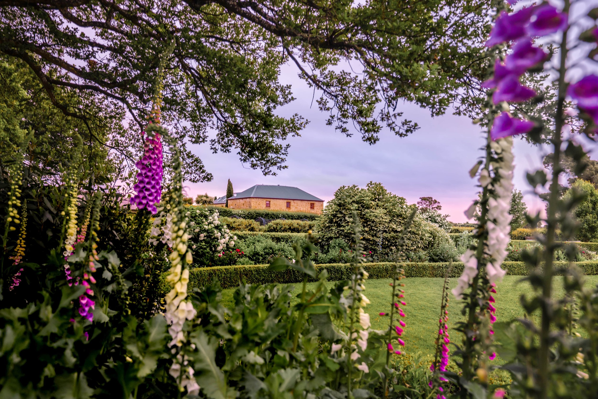 The Post Office (Waratah, TAS) — Stay in the Bush