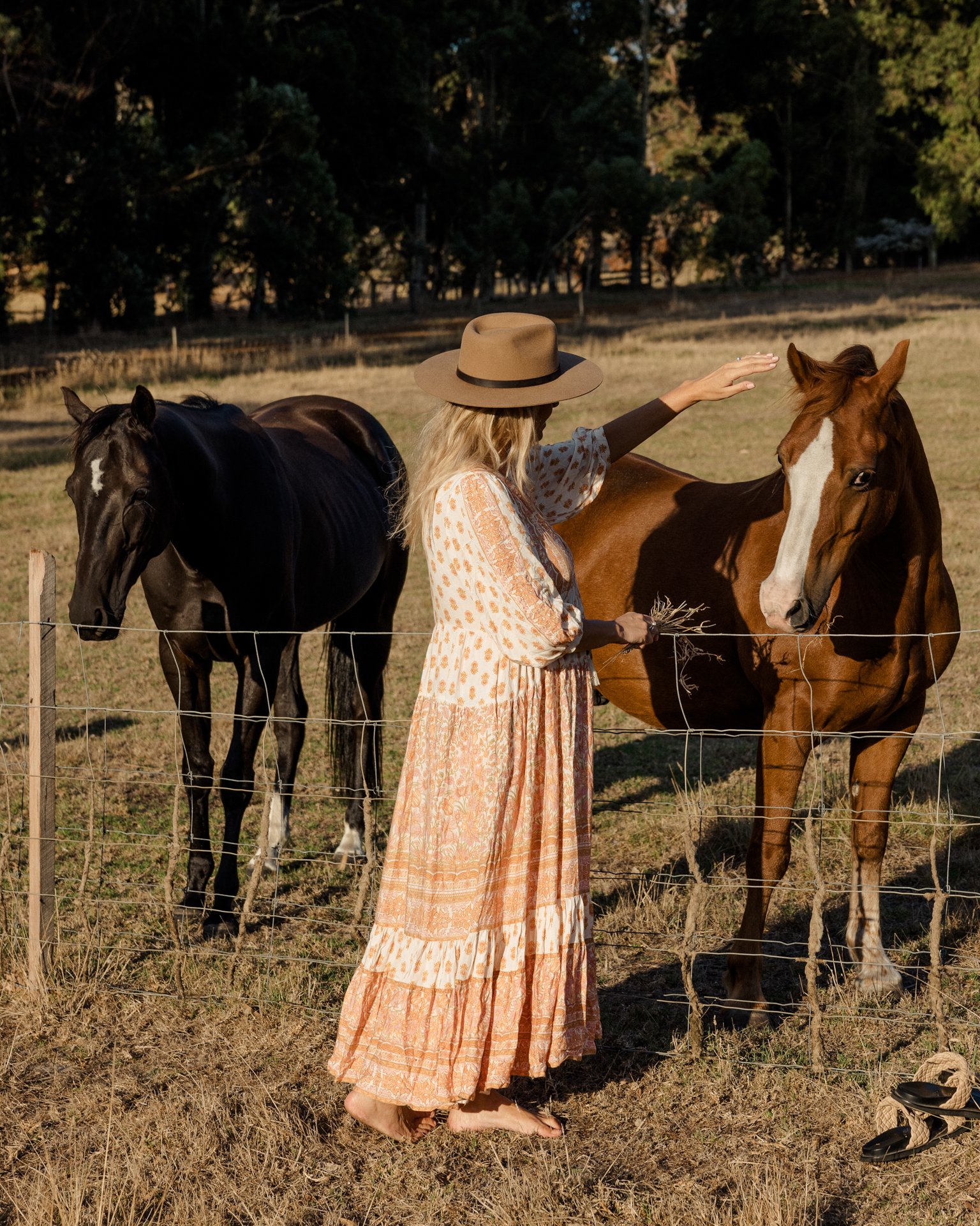 River's End Retreat near Albany, Western Australia — Stay in the Bush