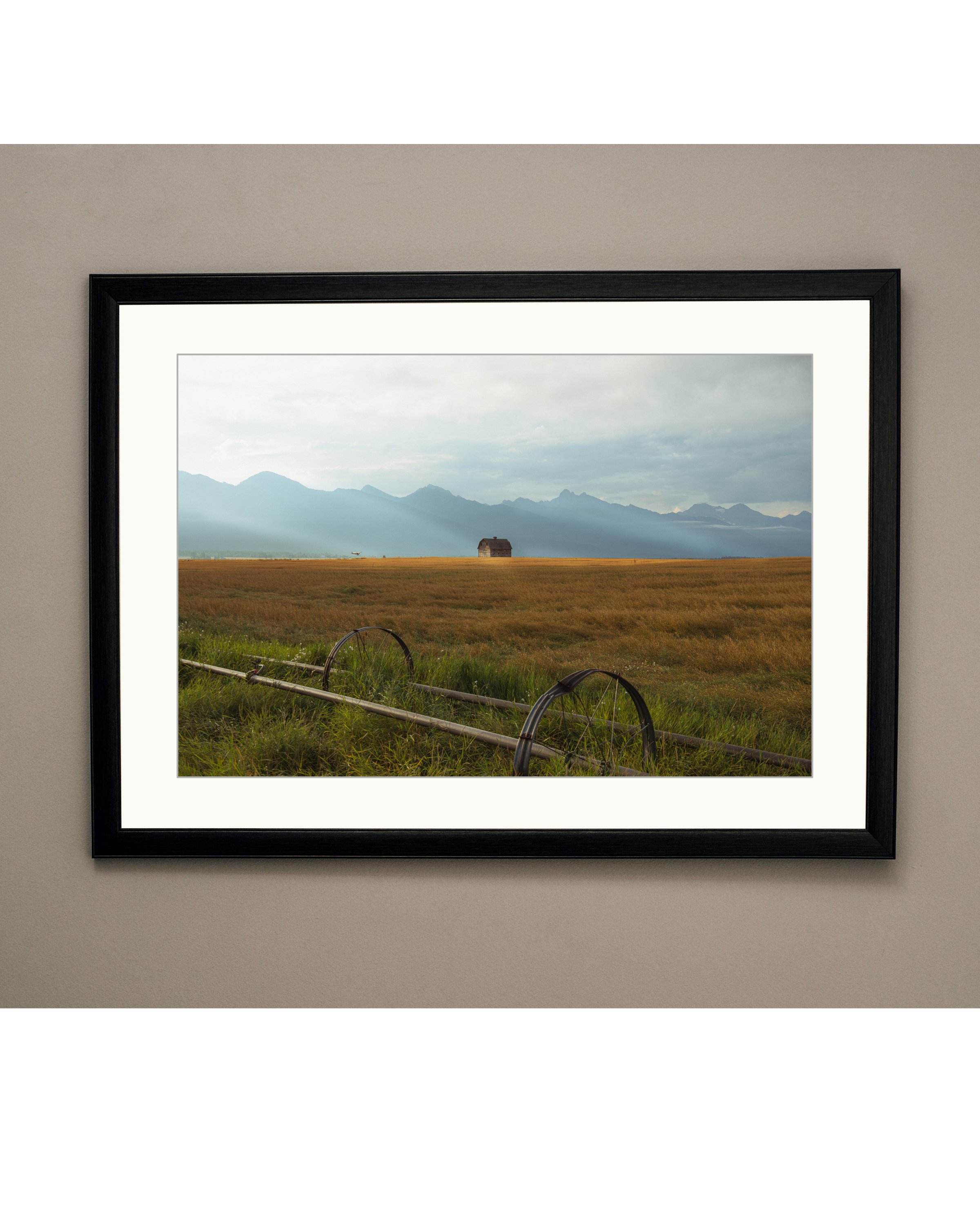 Montana.jpg