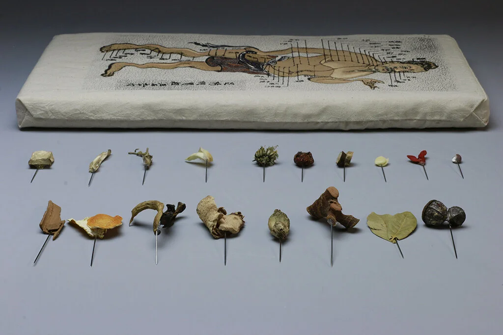 Acupuncture Chart Needles Out (2017)
