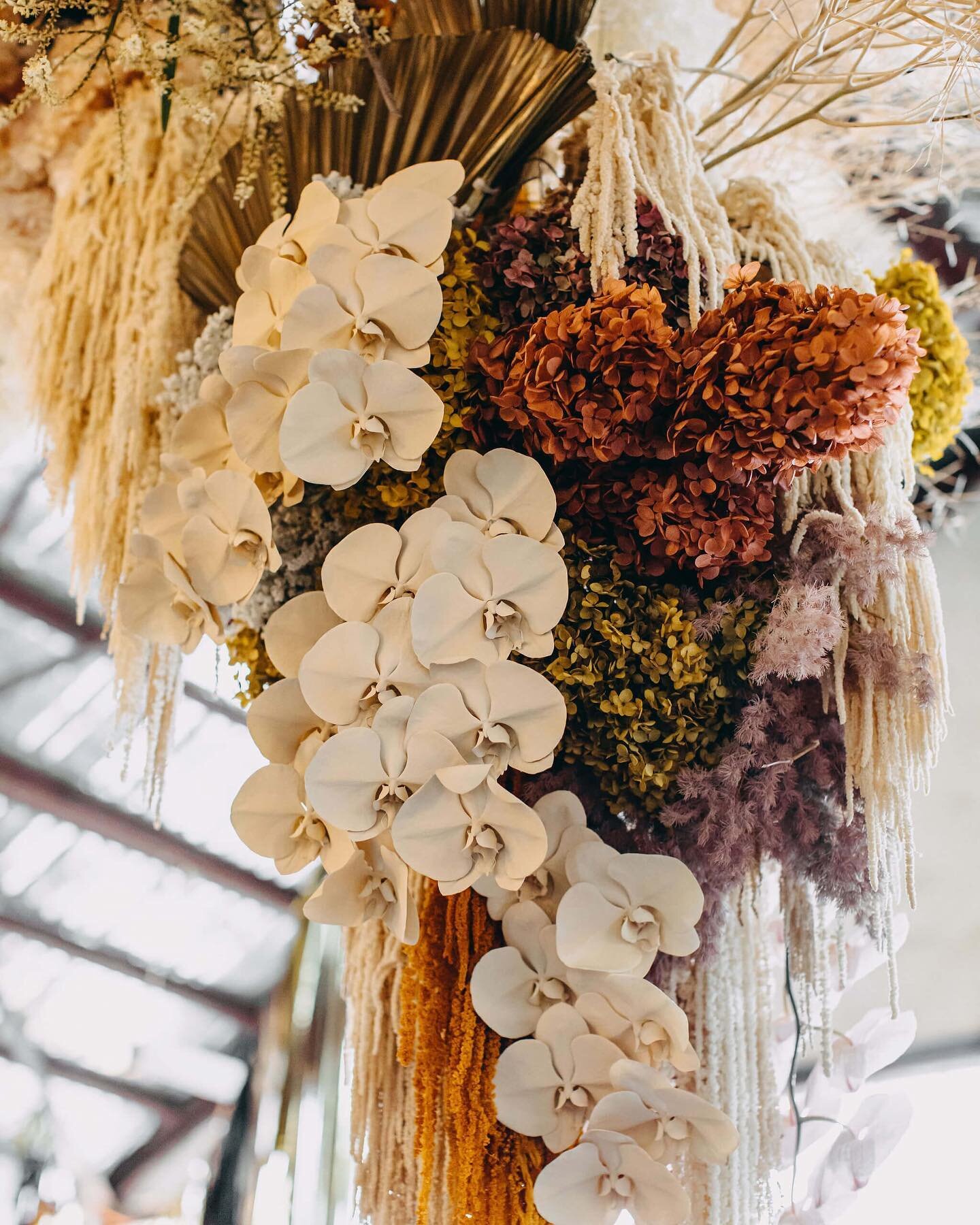 These warmer tones have us dreaming of warmer days

Rich blooms created by @naturalartflowers 

Captured by @ridhwaanmoolla