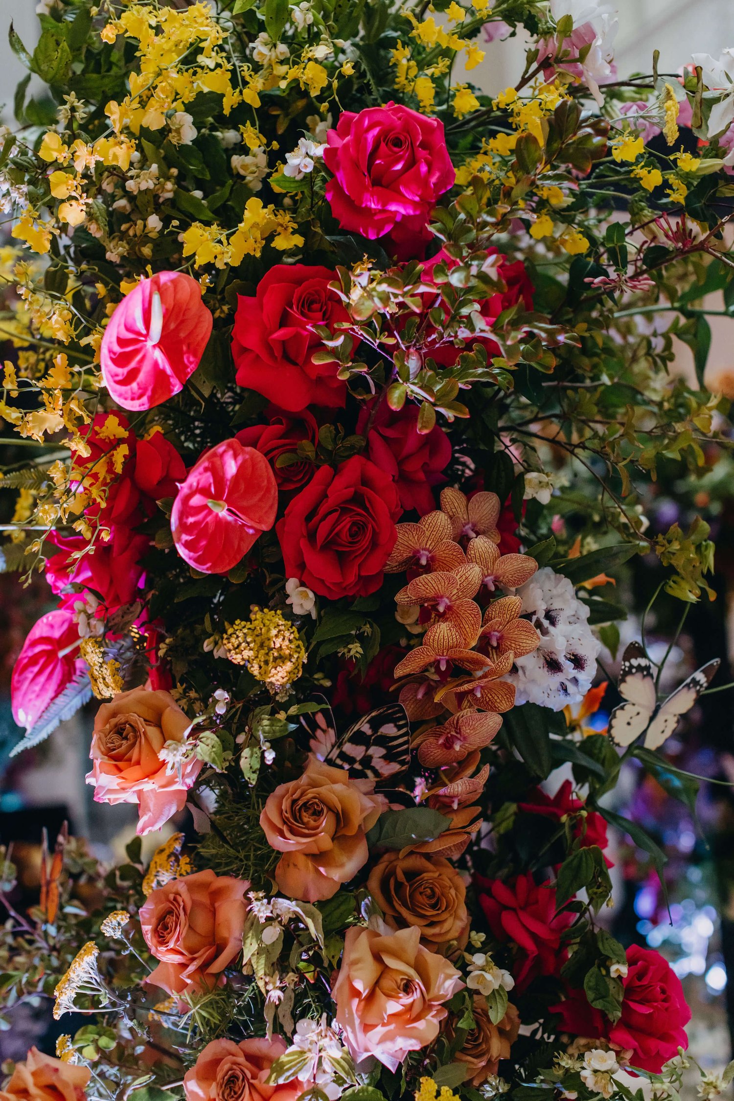Perth Spring Soiree Event — Bertie Does