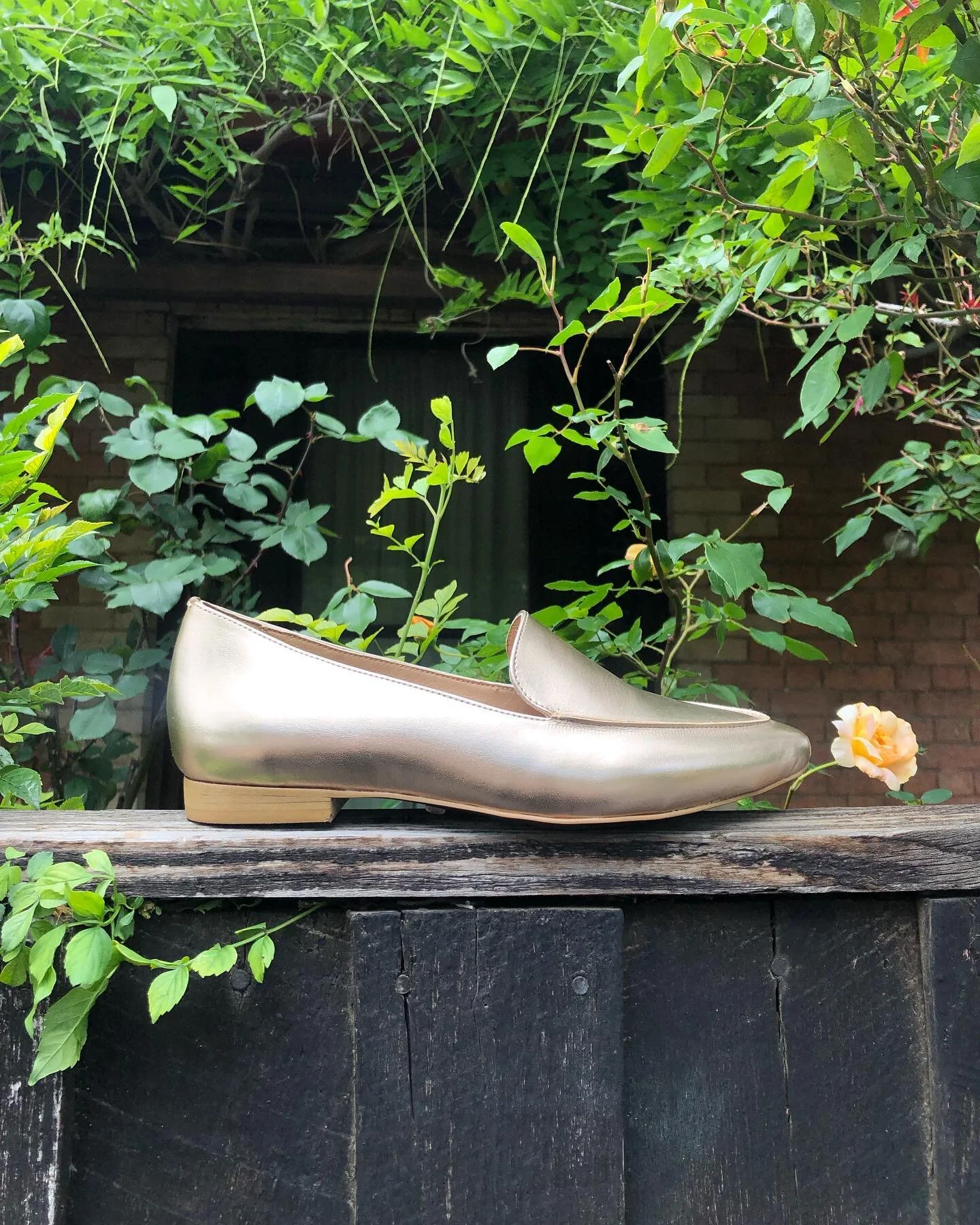 Zette Shoes | Luxe Vegan Shoes for Women and Men