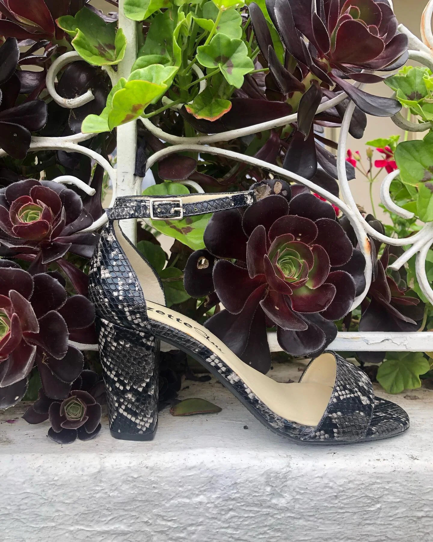 Zette Shoes | Luxe Vegan Shoes for Women and Men