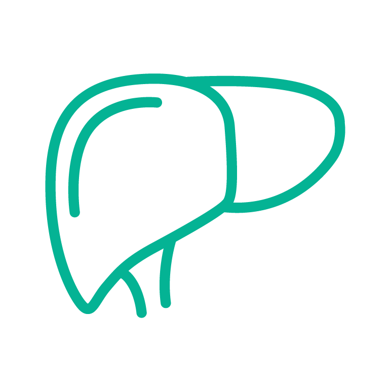 Liver Health