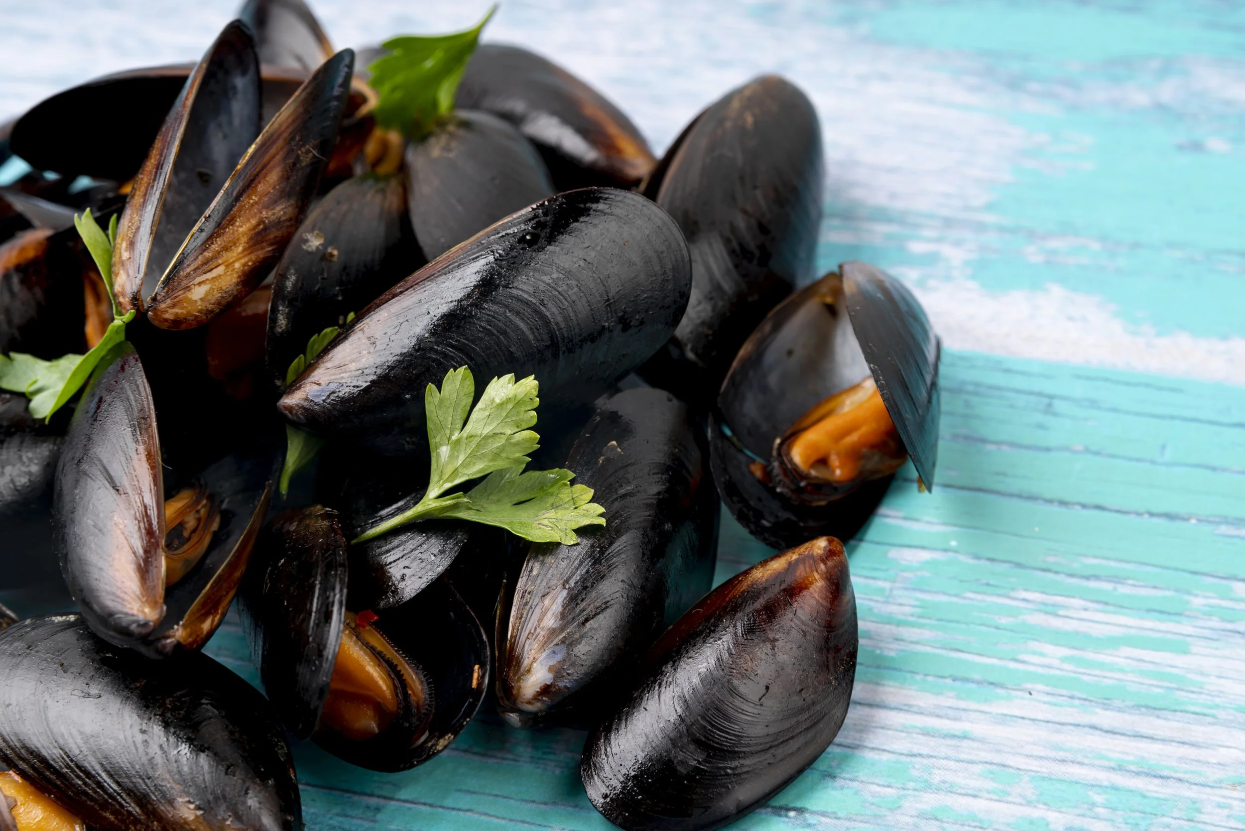 "Joints in Motion: The Functional Fusion of Green Lip Mussel, Soy, and Vitamin K2"