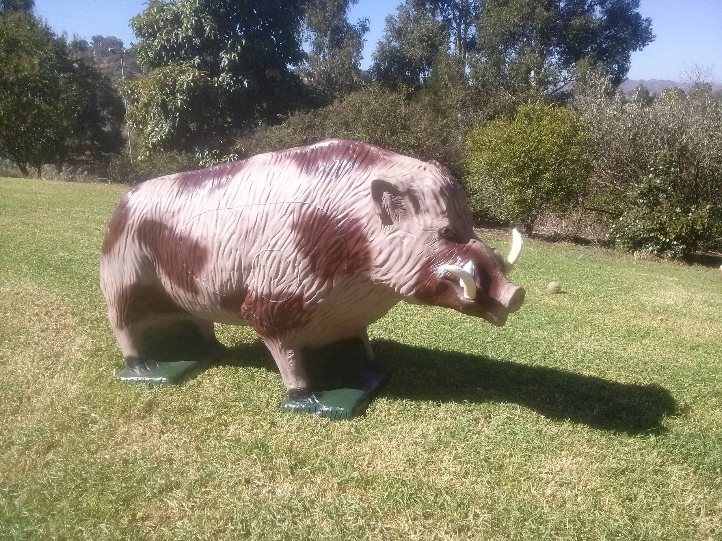 3D Boar