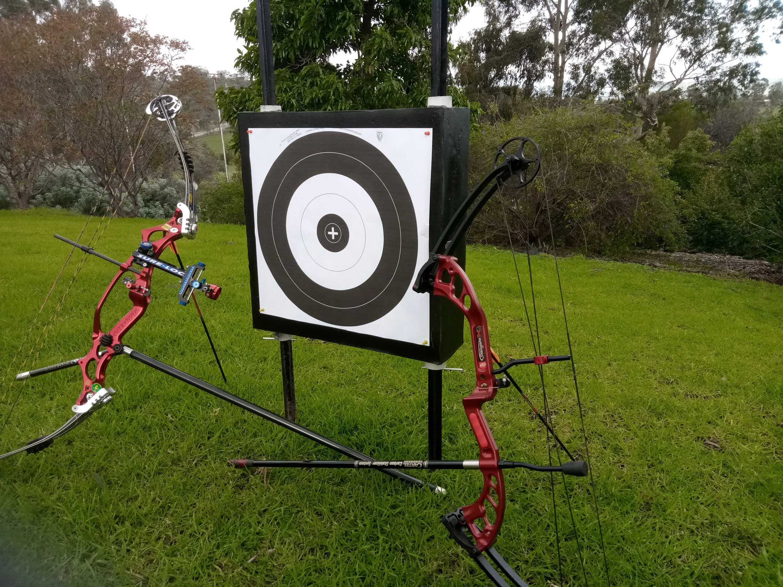 3D Field target