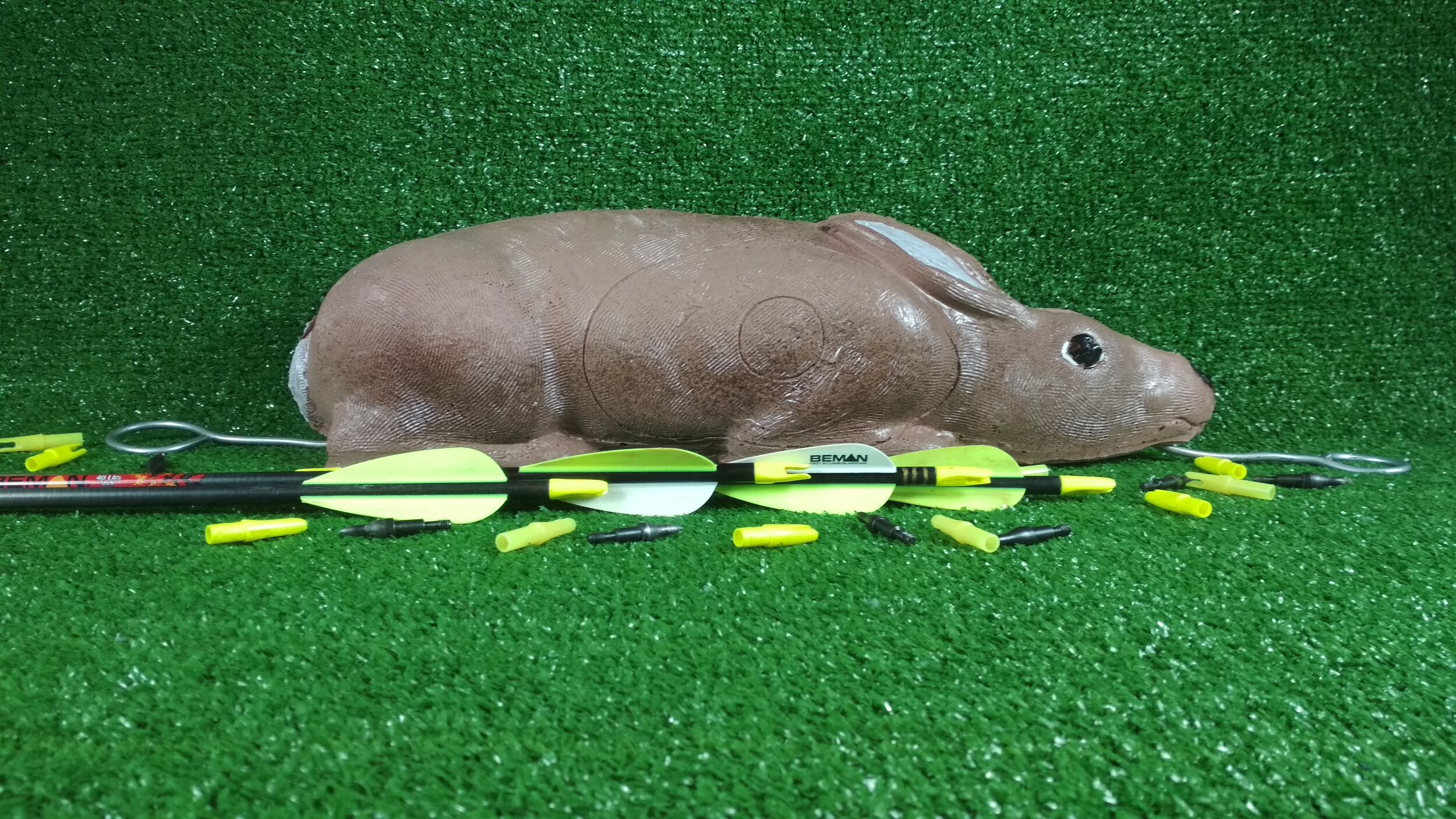 3D_Archery_Rabbit_Aussie_Targets (23).jpg
