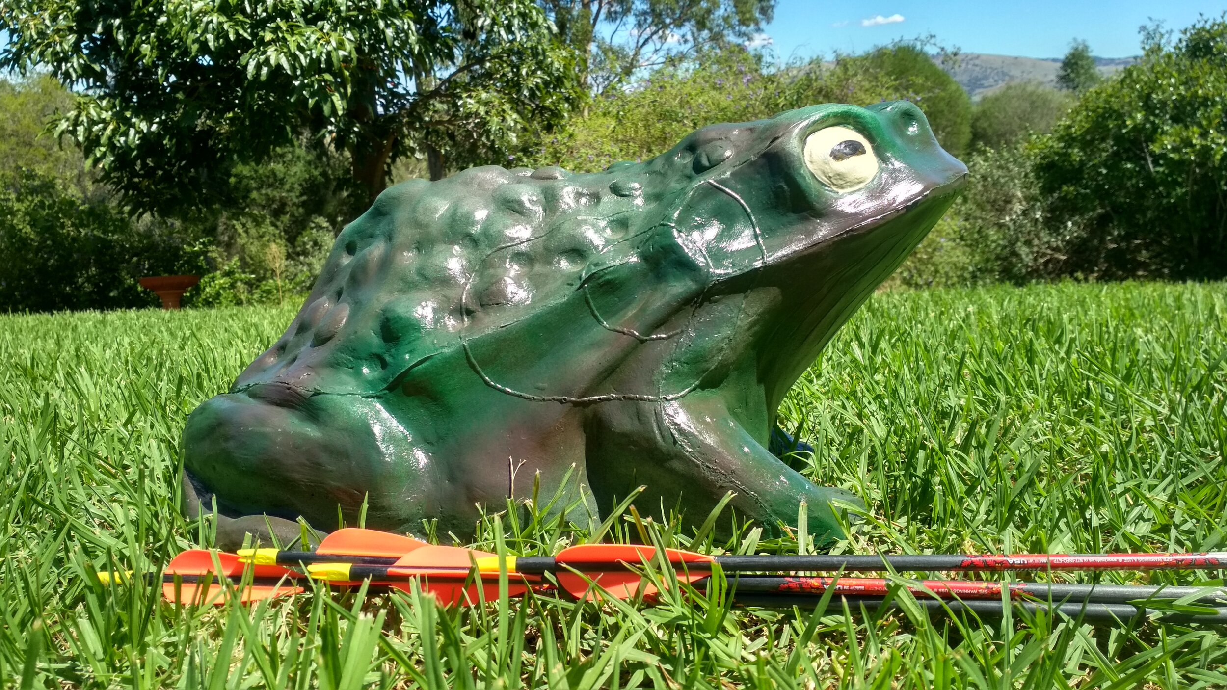 3d_Toad_Aussie_Targets_Archery.jpg