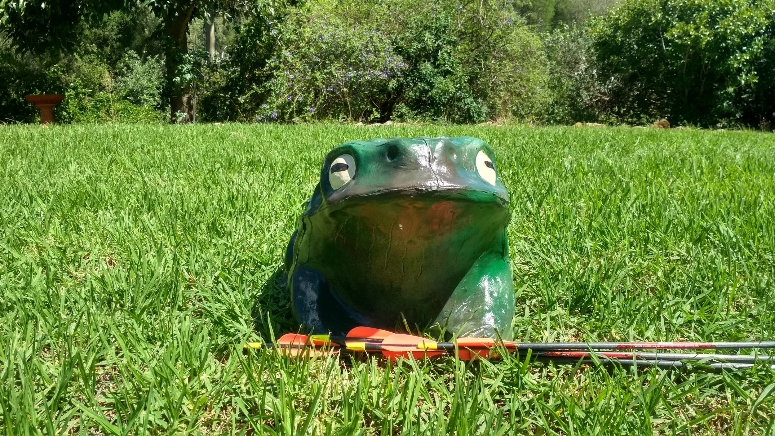3D_Aussie_Targets_Archery_Toad.jpg