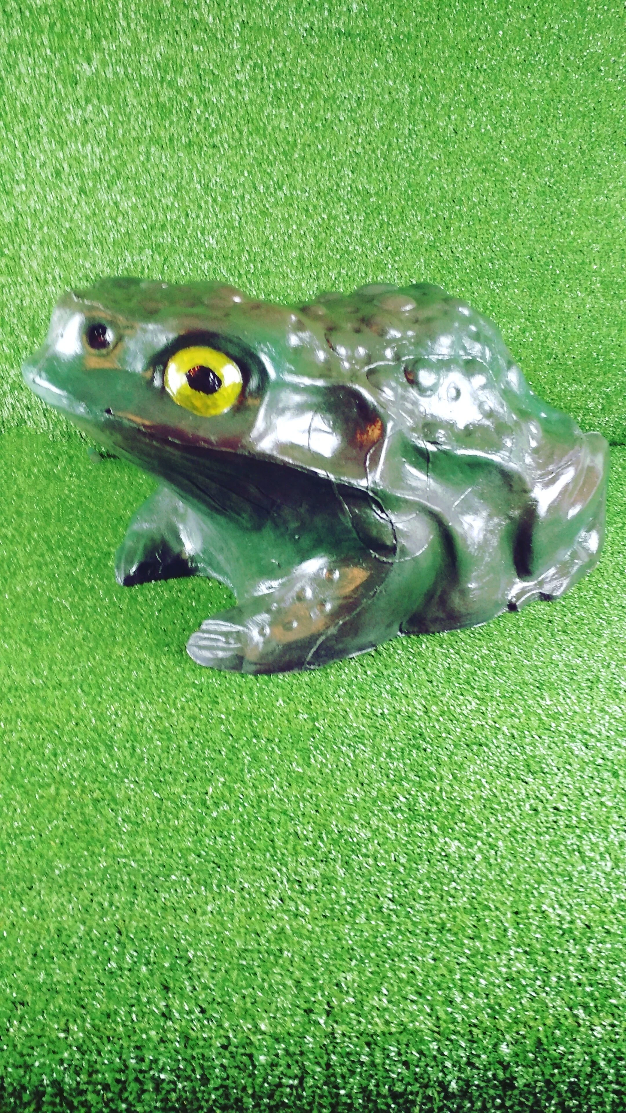 3D-Archery-Target-Toad-Side-Aussie-Targets (2).jpg