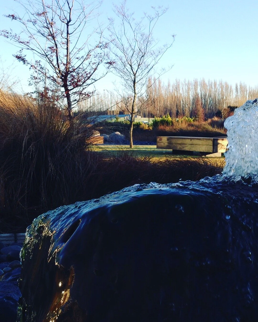 IMG_0524 - Charlotte Shand.JPG