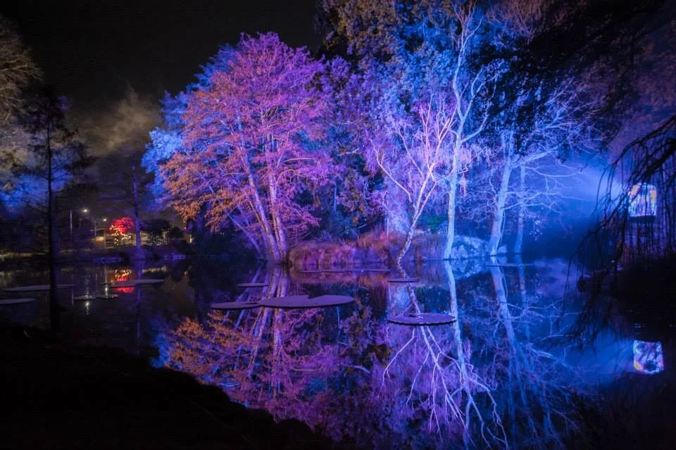 ETS Lighting 6 - Stephen Walker.jpg