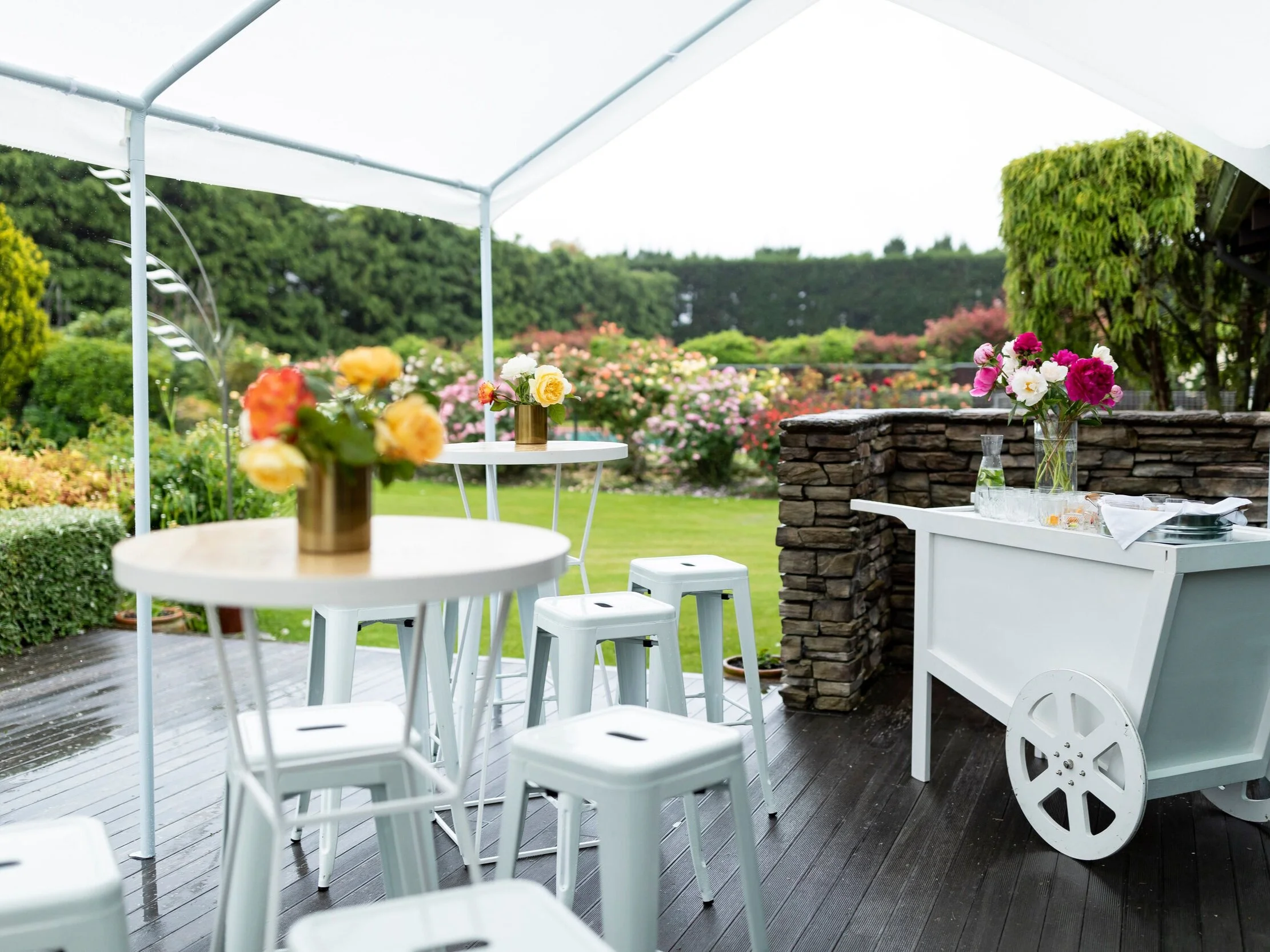 Rebecca Claridge  Rebecca Claridge Photography is a local photographer available for any types of events. General coverage, portraits, set ups, food photos are an example of photos captured in an non obtrusive manner. No job is too big or small, with plenty of knowledge in many different lighting scenarios.