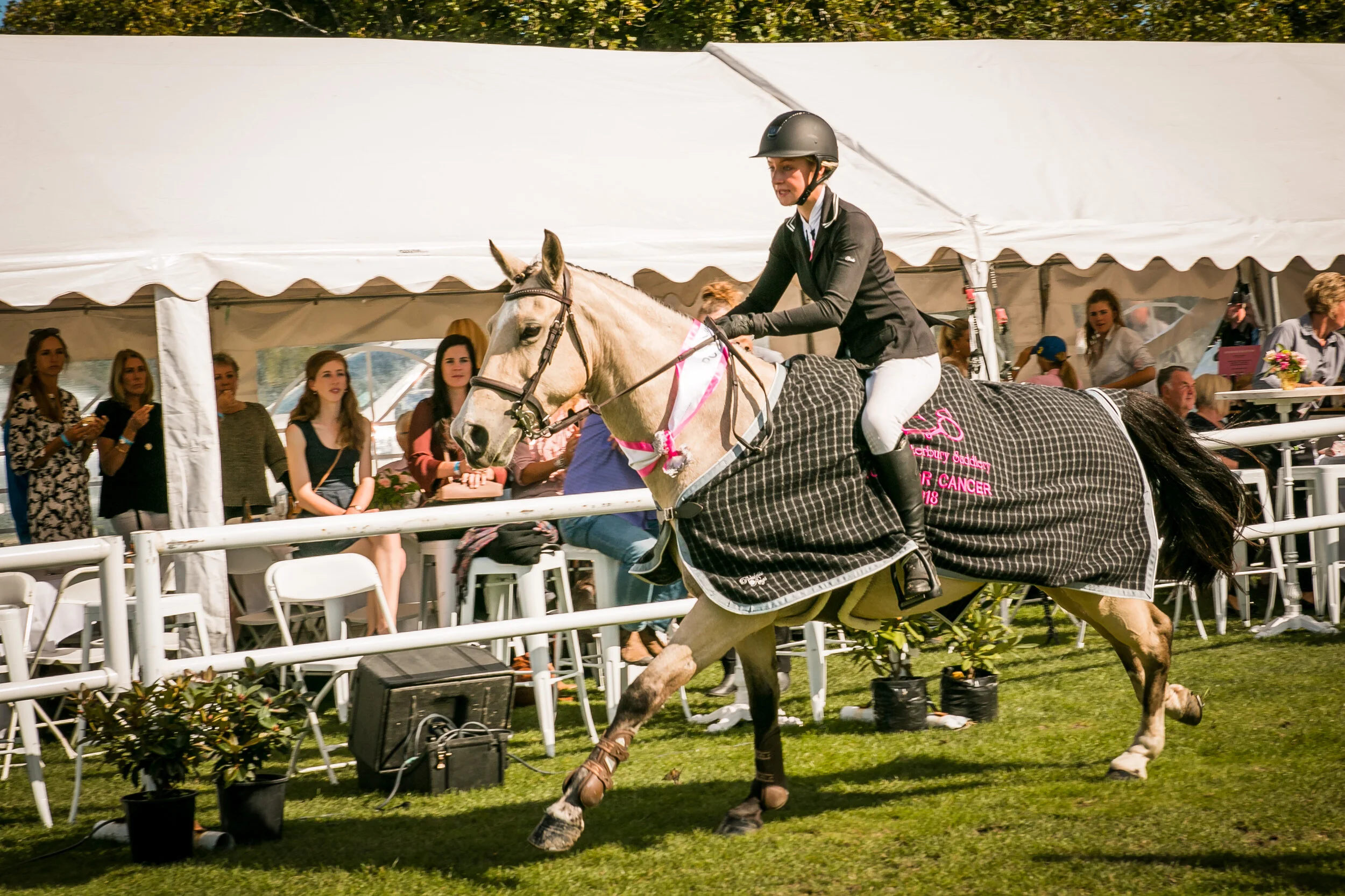 Collective Concepts 10 - Kate Blundell.jpg