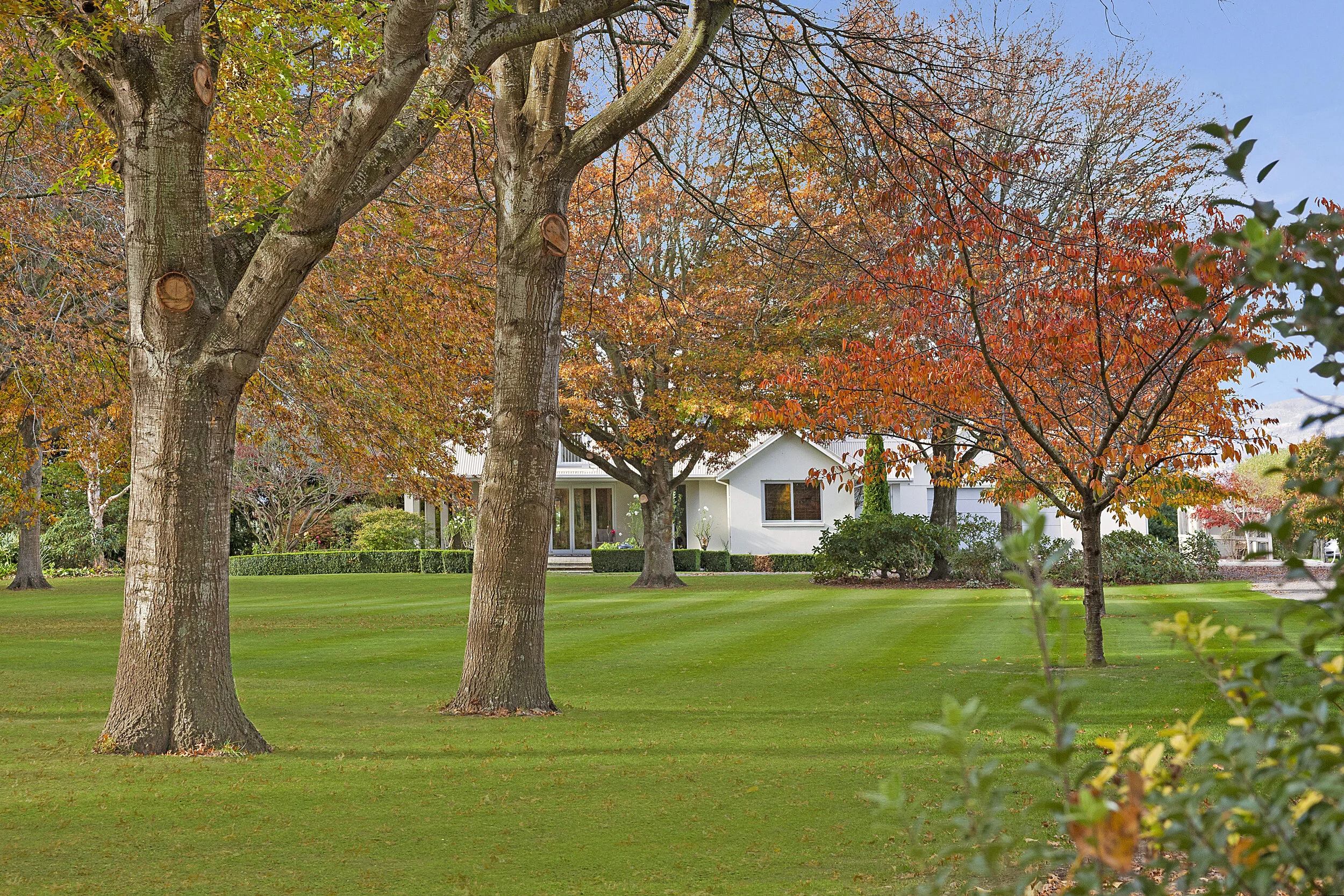 10 - Kathy Grattan.jpg