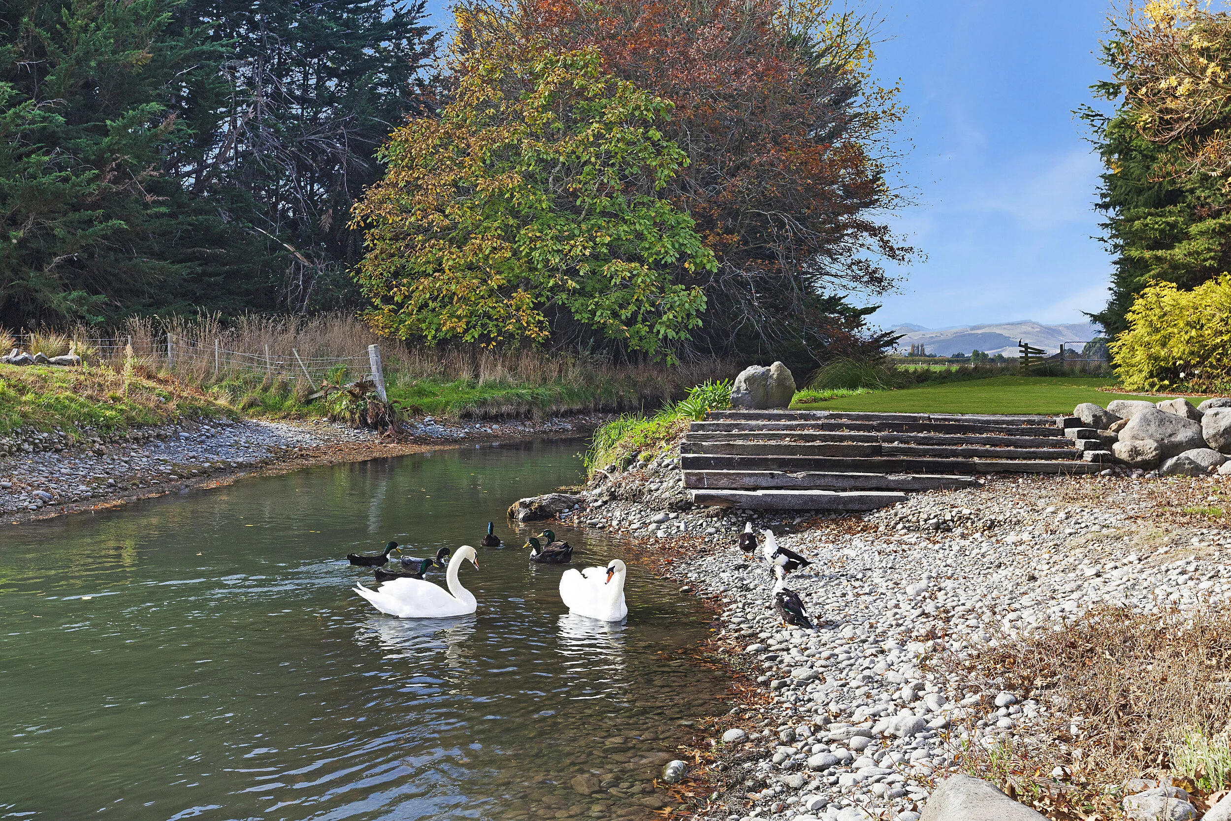 06 - Kathy Grattan.jpg