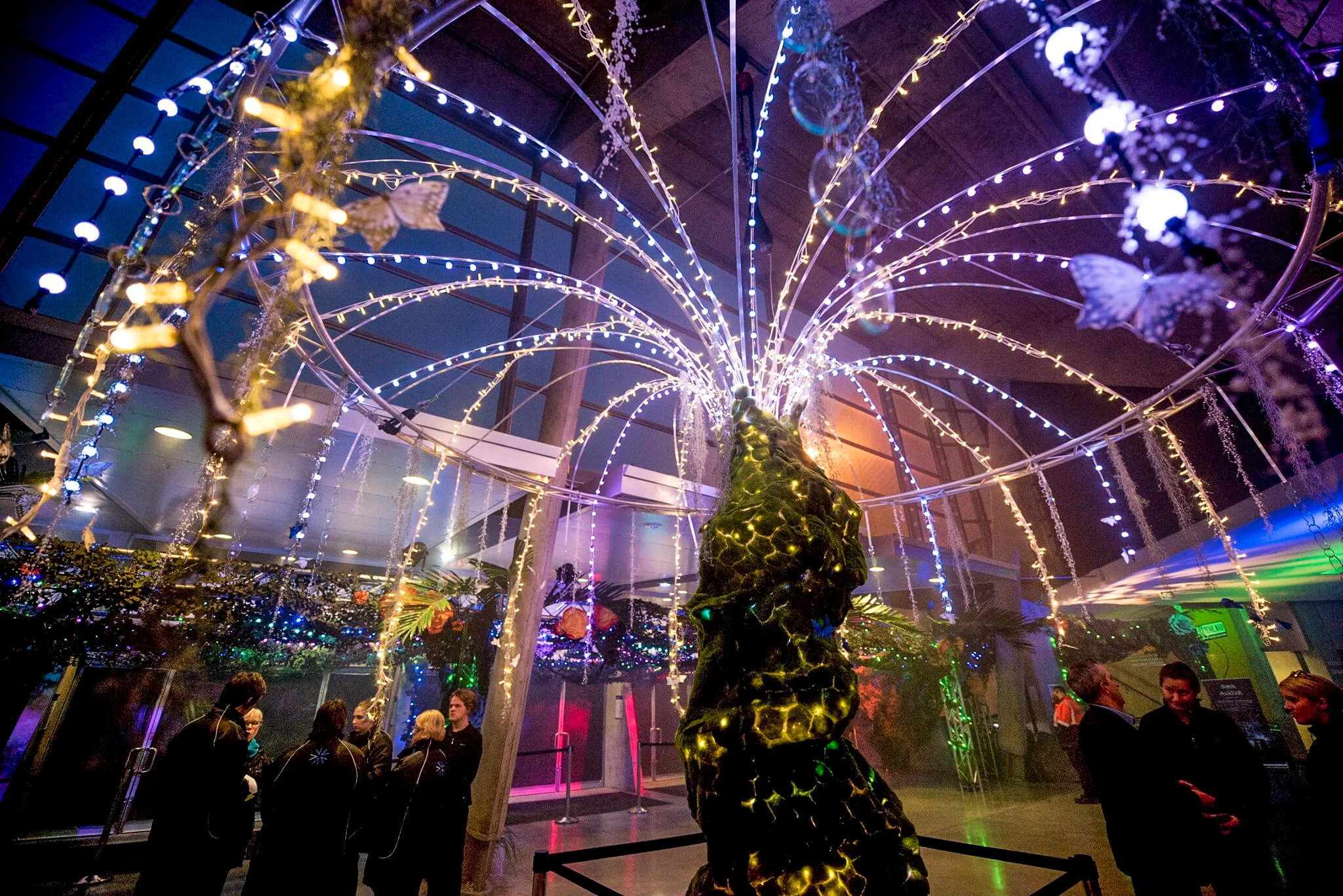 ThemePro IMAGE 1 - Geena Fife.jpg