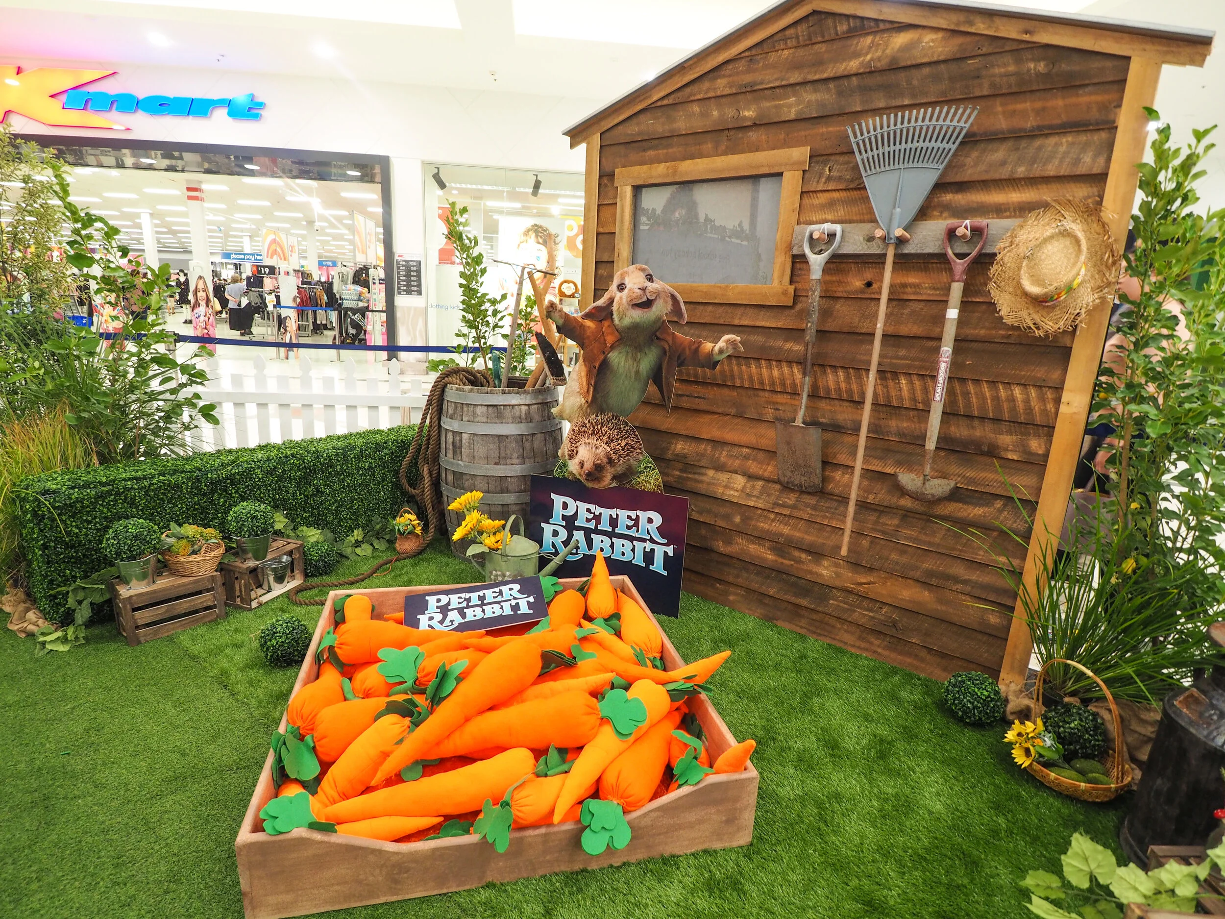 ThemePro IMAGE 3 - Geena Fife.jpg