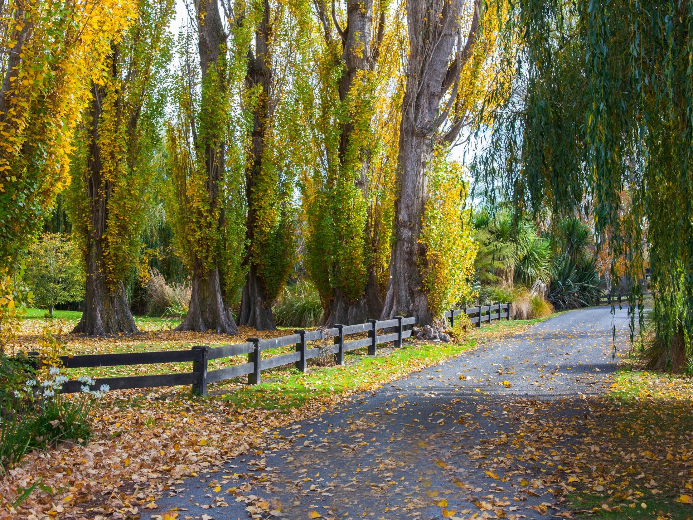 Silverstream Lodge  Kia Ora and welcome to our Five Star Luxury Lodge where a warm Kiwi welcome awaits you.  Lovely private garden setting within 28 acres. Corporate events, offsite day meetings, Your staff will enjoy the creative open space and perhaps some team building with croquet on the lawn....Only 30mins South of Christchurch Airport &amp; CBD. Private onsite parking, in house catering or you are very welcome to arrange your own caterers.    Capacity  120