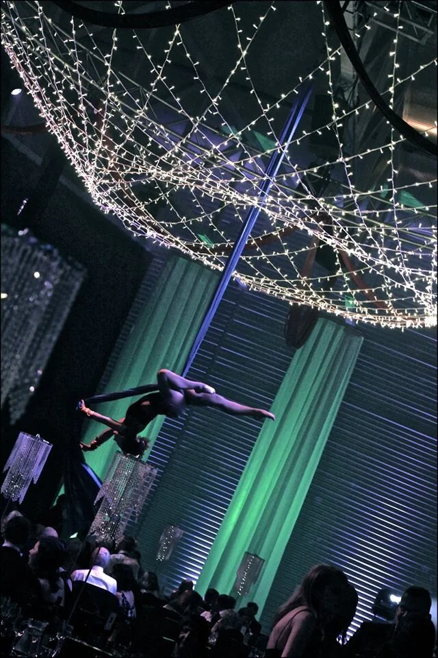 EPIC Entertainment - Aerial Cirque.jpg