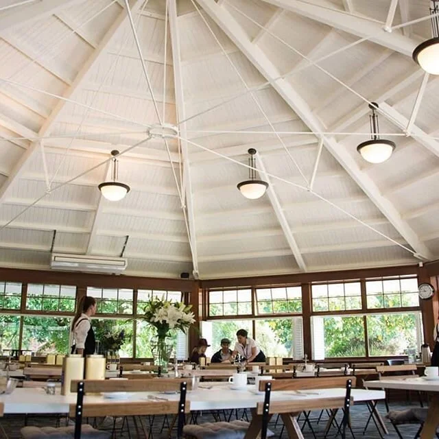 80597625_2719953224764285_8823932814254664812_n - Daniel Shanks.jpg