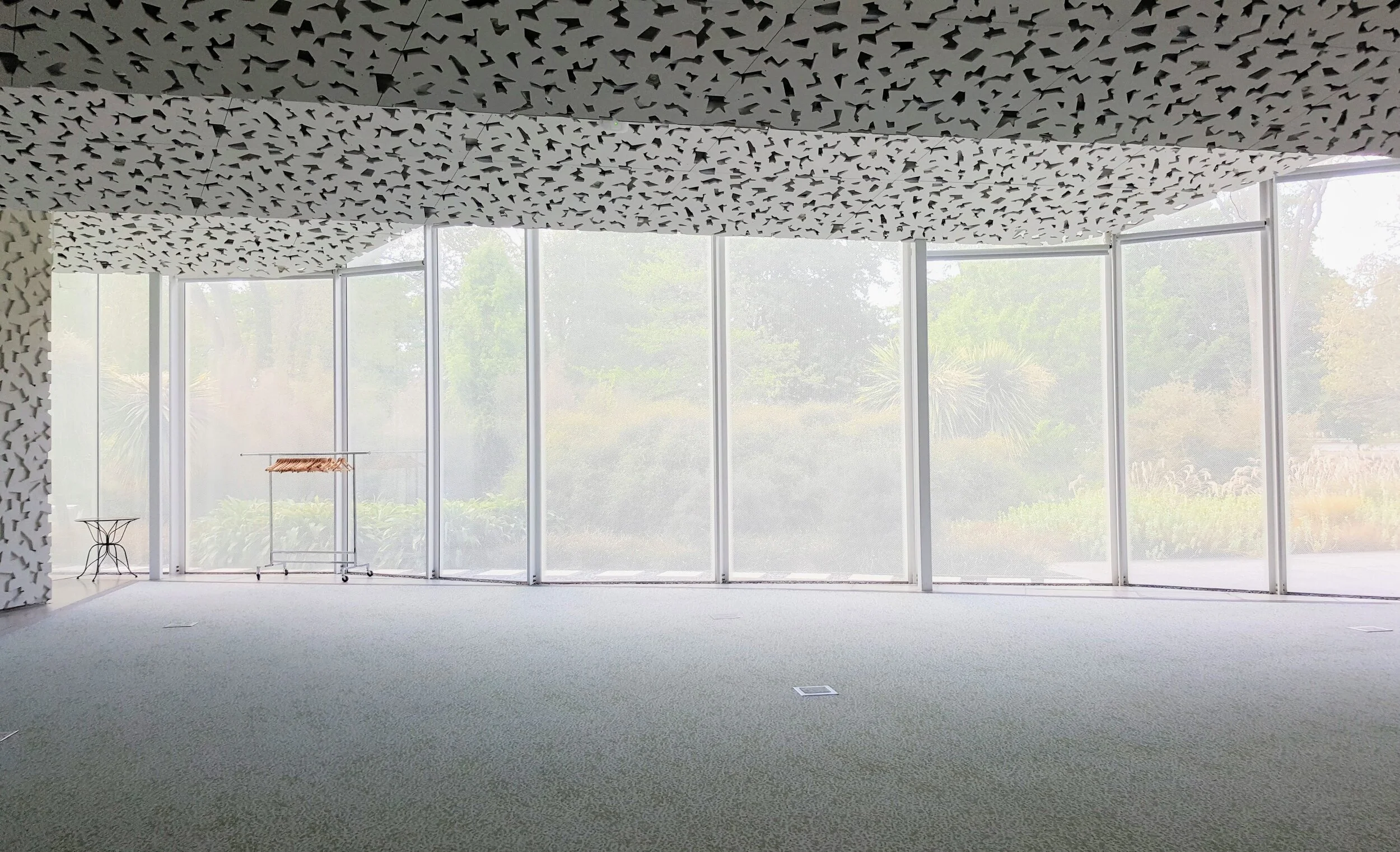 20191030_173258 - Daniel Shanks.jpg