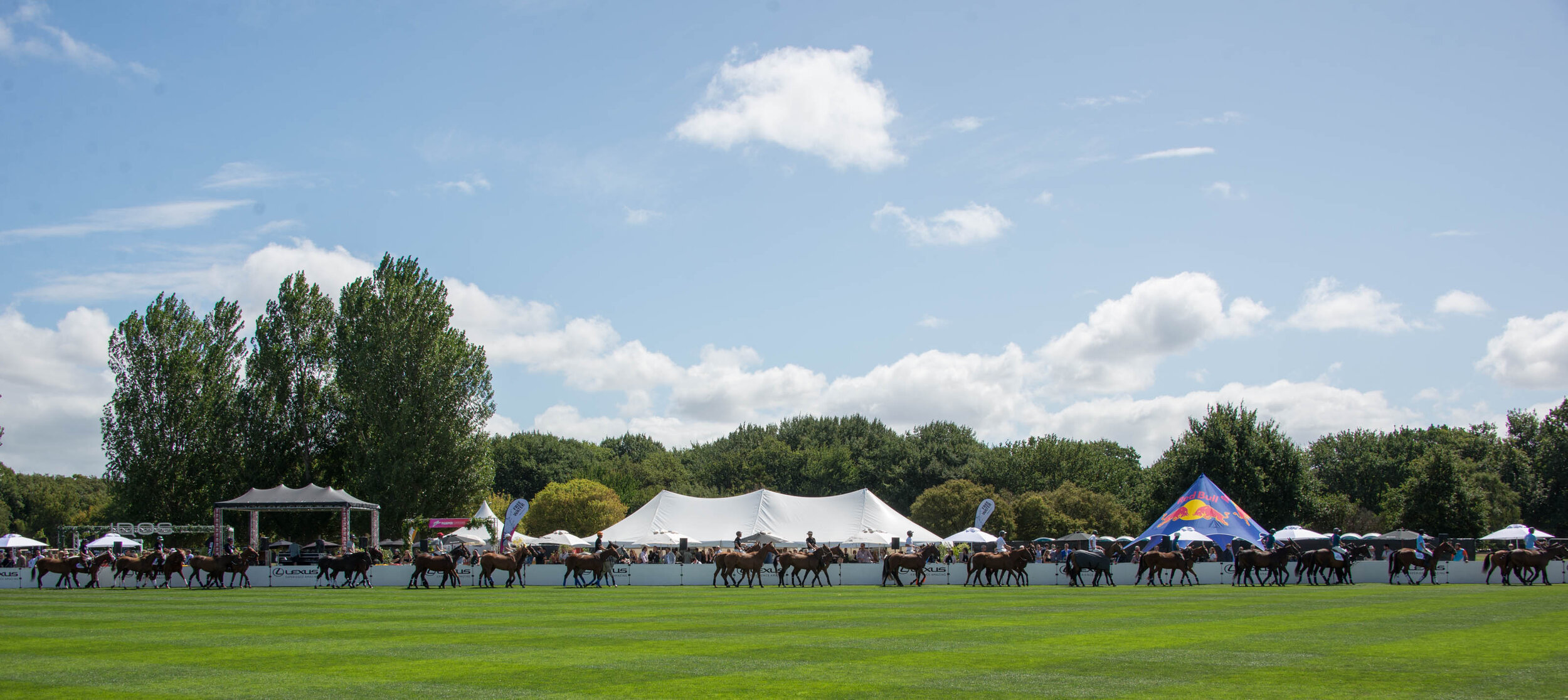 superluxe 1 - Daniel Shanks.jpg