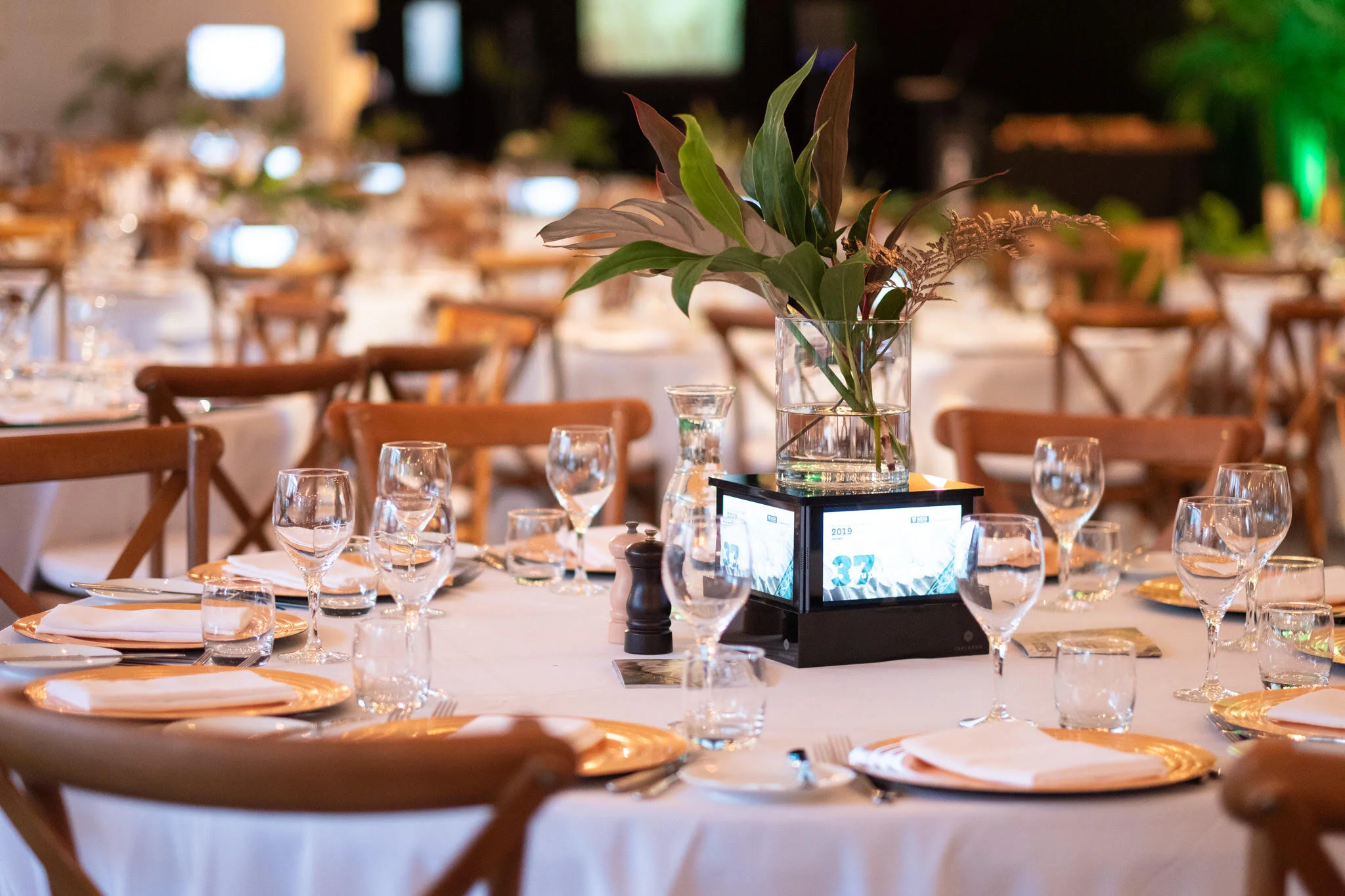 unnamed - Xanthe Smythe.jpg