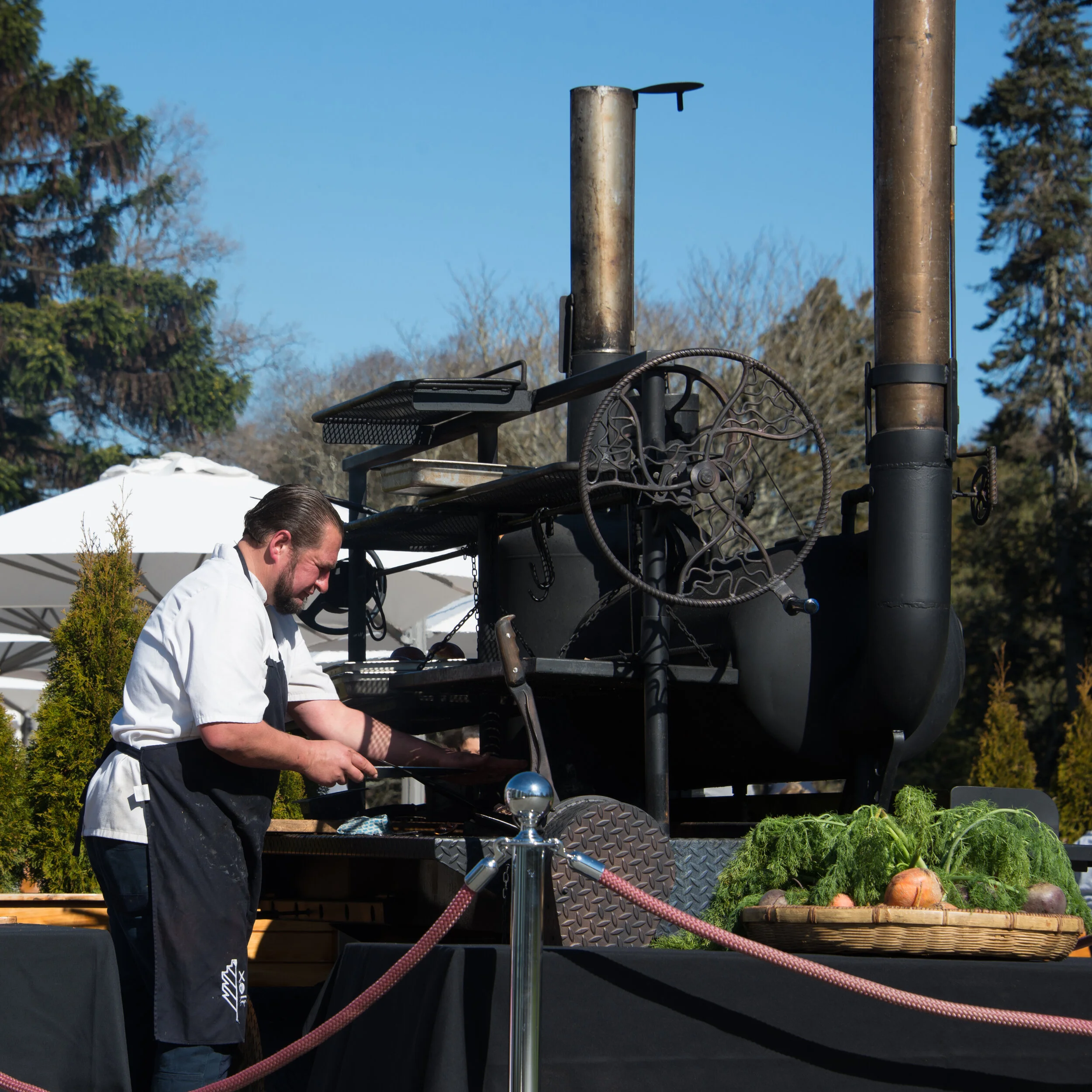 Copy of DSC_8090.jpg