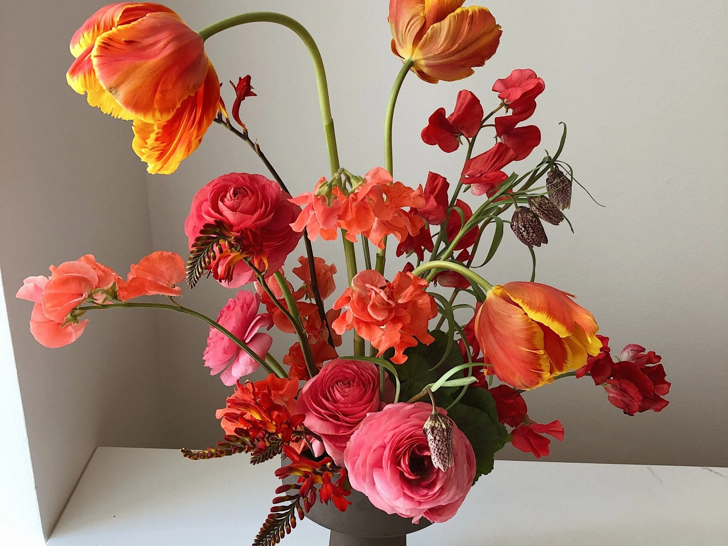 Florals &amp; Plants