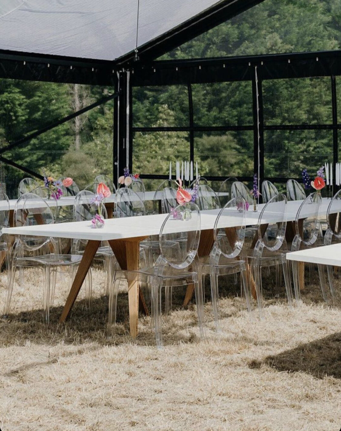 756E667C-7214-40DA-A205-89C49300A12A - danielle eeles.jpeg