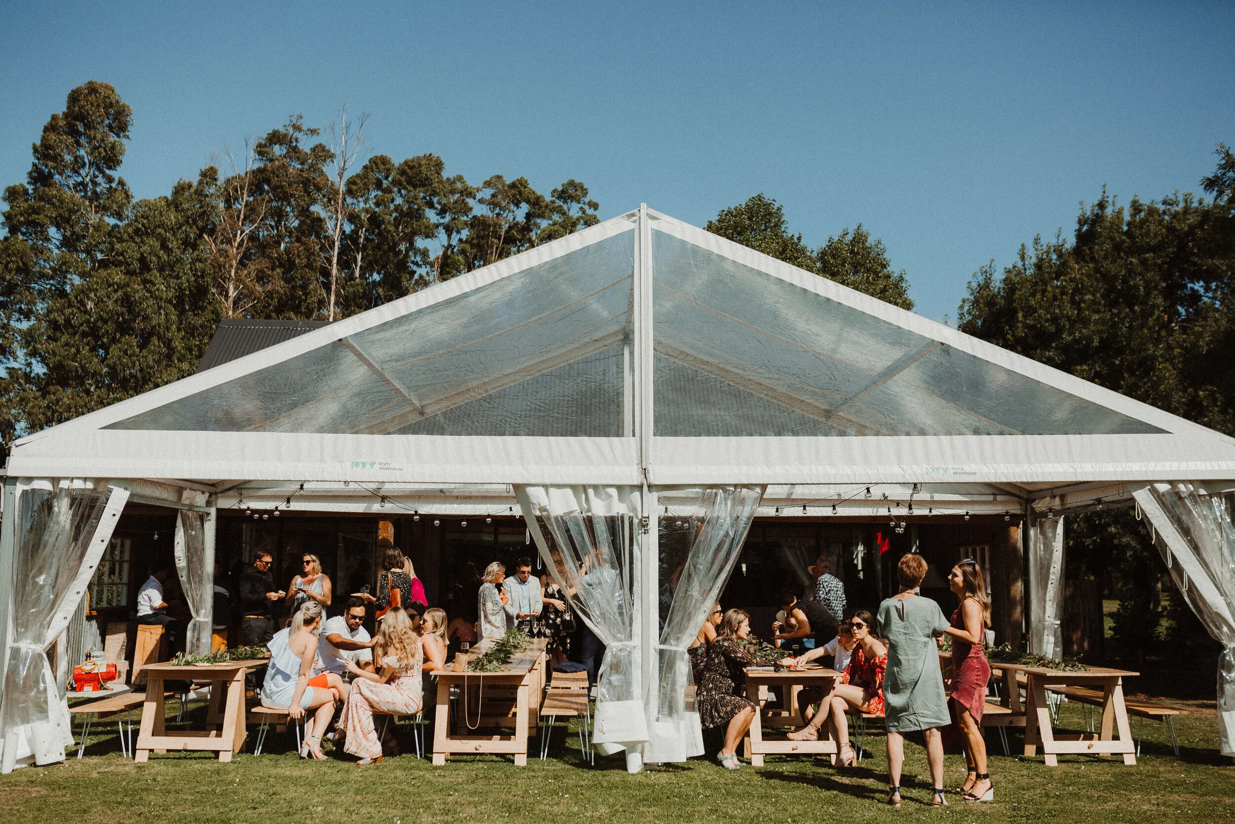 PW clear ex - Mark Bacon.jpg