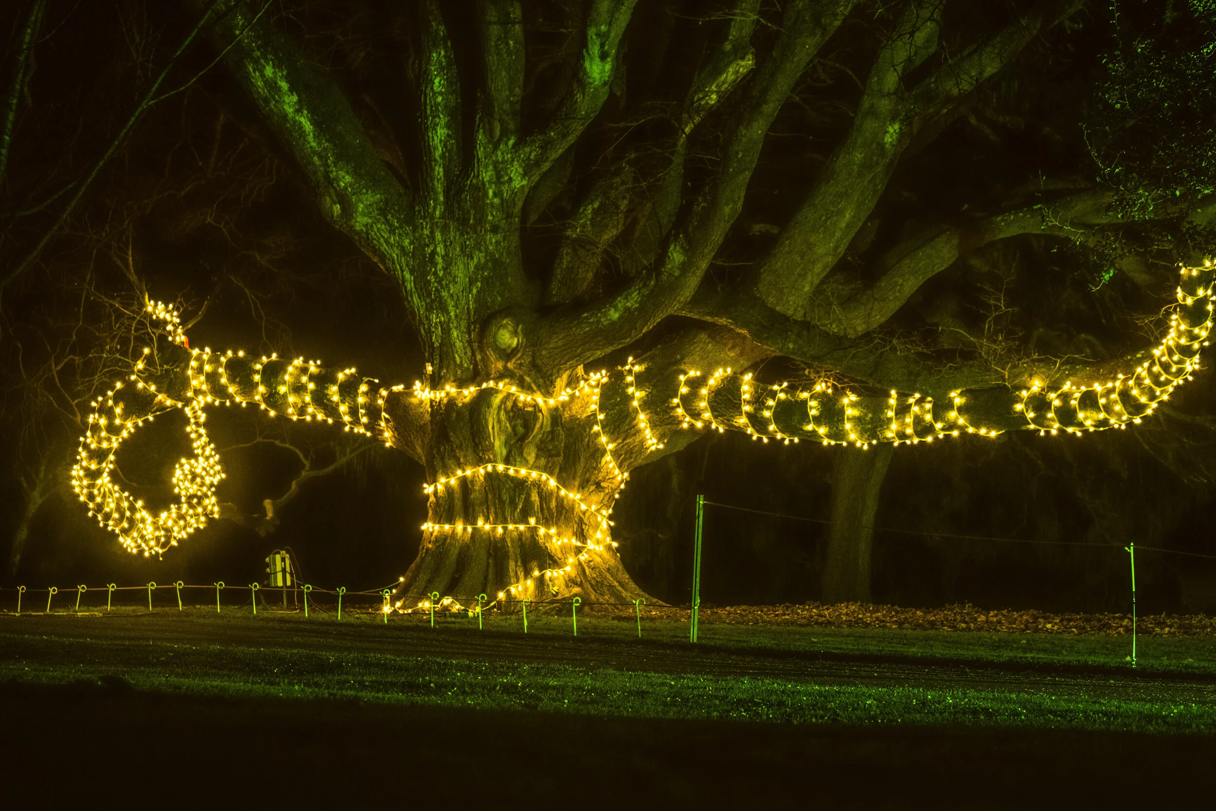 Spectrum 7 - Phil Mardon.jpg