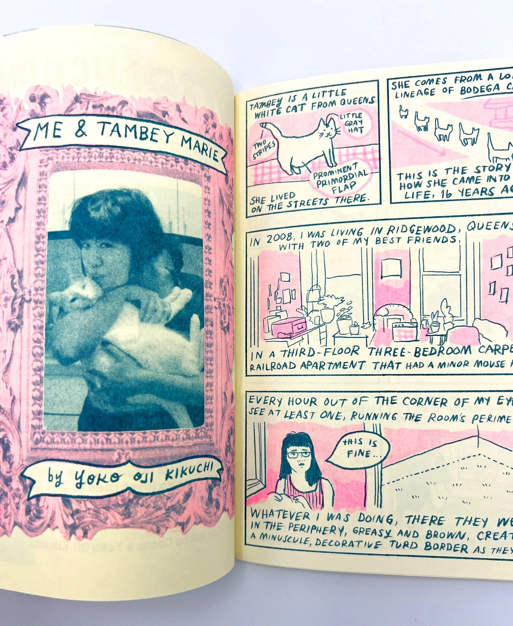cat-tales-inside.jpg