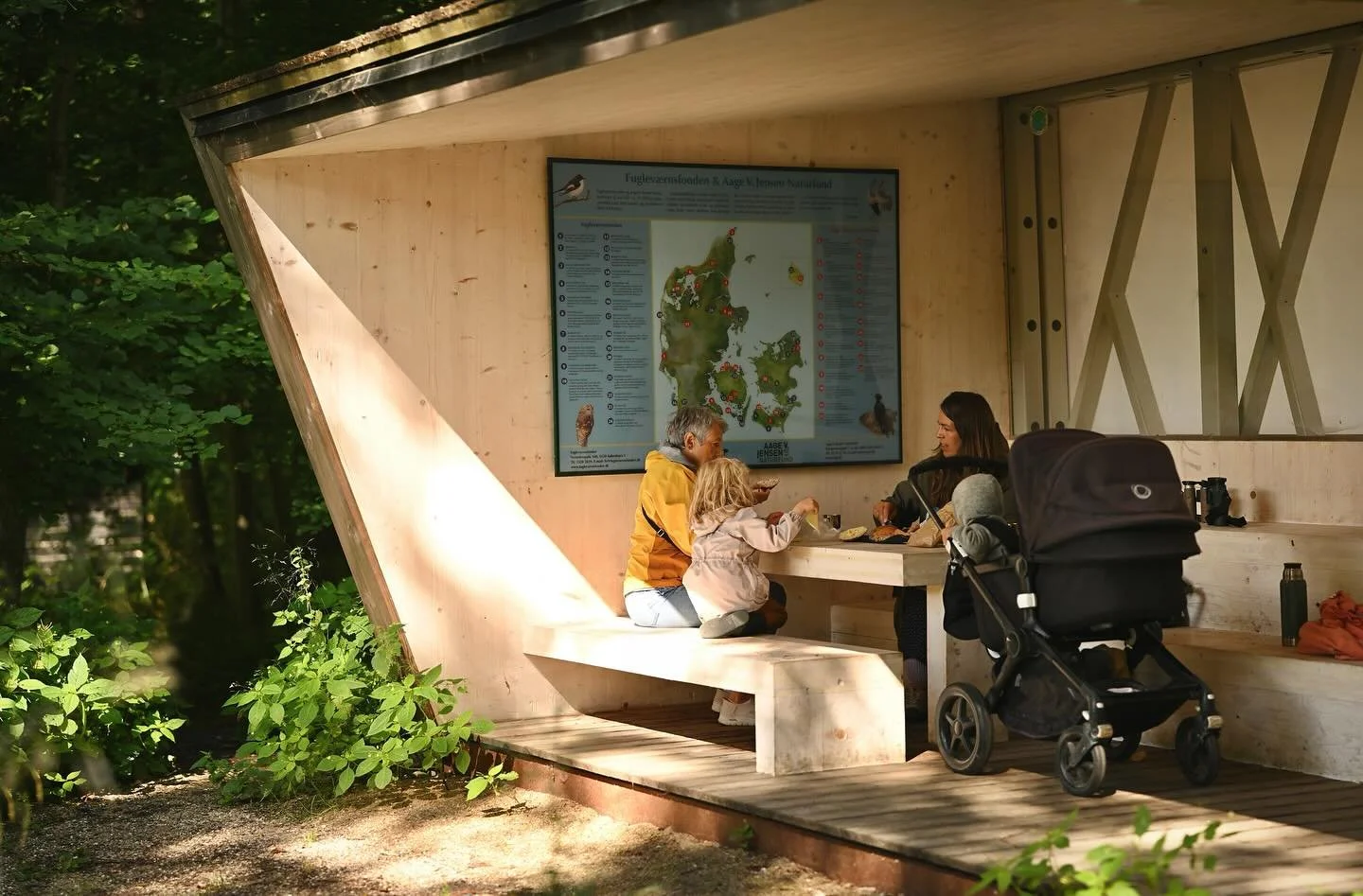 The ellesump nature reserve
Vaserne is an outstanding site for nature enthusiasts, home to a rich mosaic of habitats. Of particular ecological value is the ellesump a rare alder swamp forest where woodland and wetland blend. This habitat is shaped by