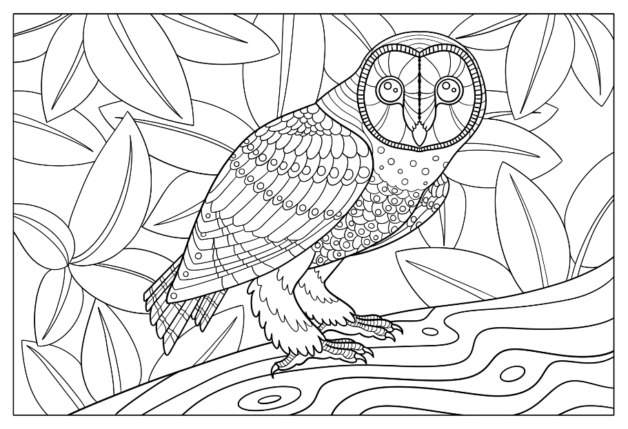 ColouringSheet4.PNG