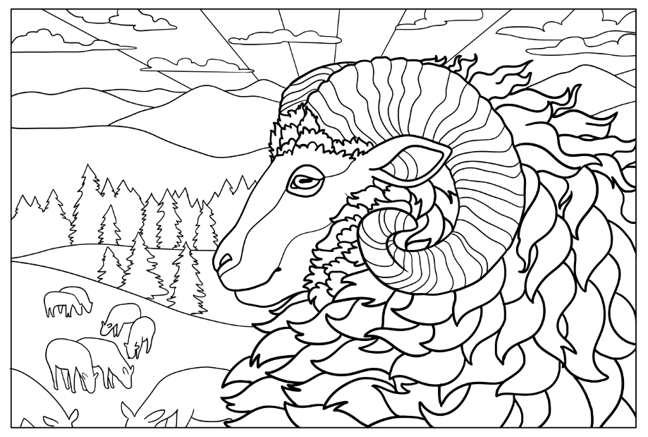 ColouringSheet5.PNG