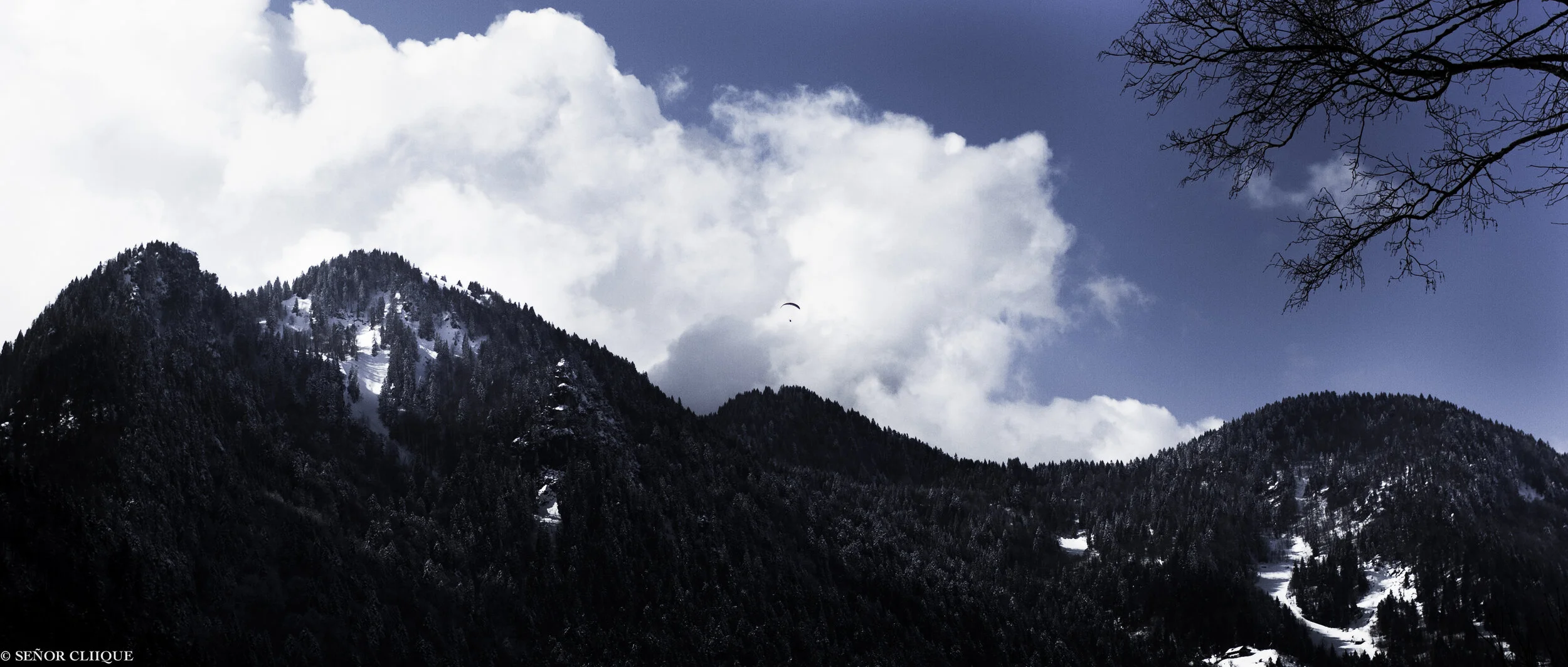 20120309-IMG_9849-2.jpg