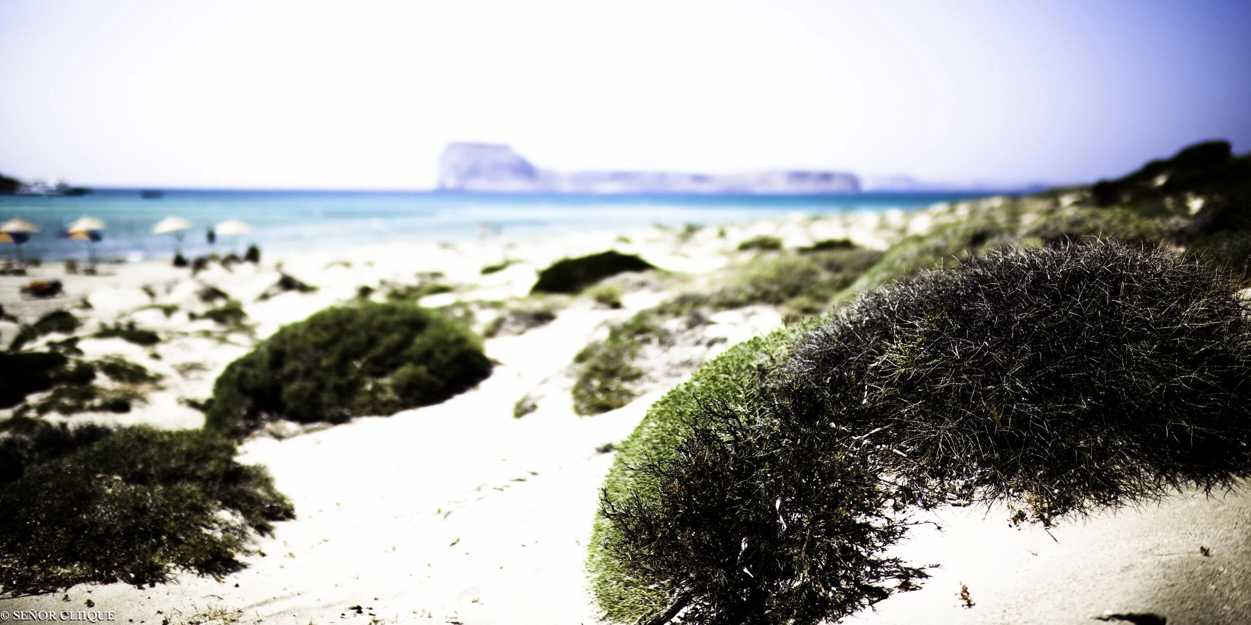 20120710-_MG_9992-2.jpg