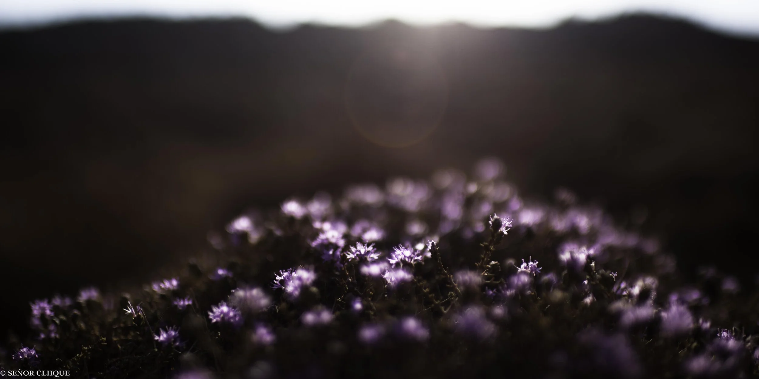 20120710-_MG_0007.jpg