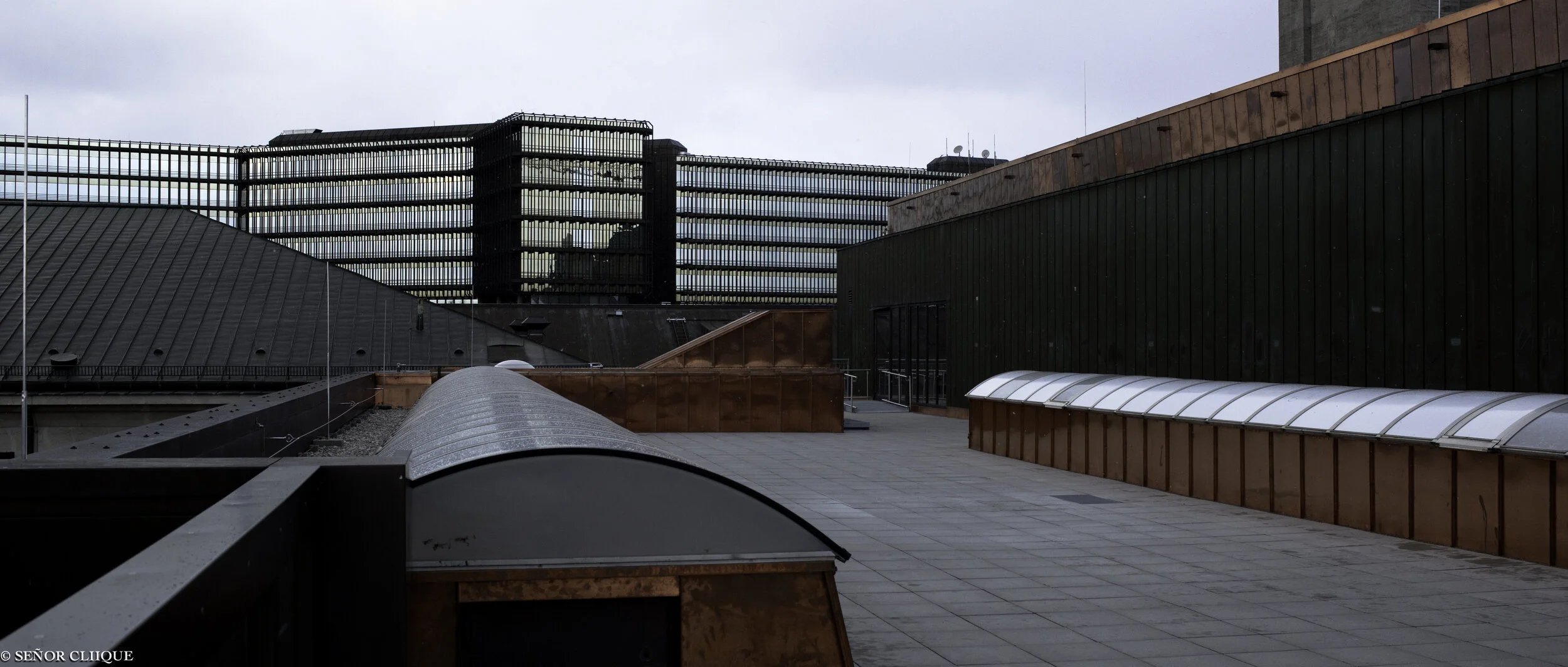 20120113-_MG_0013.jpg