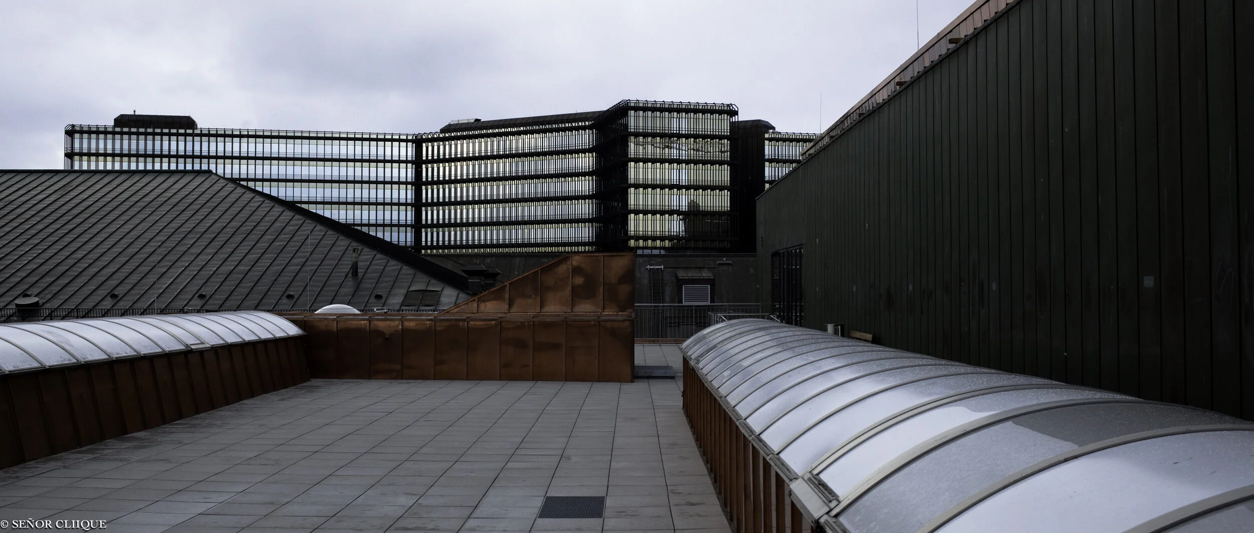 20120113-_MG_0014.jpg
