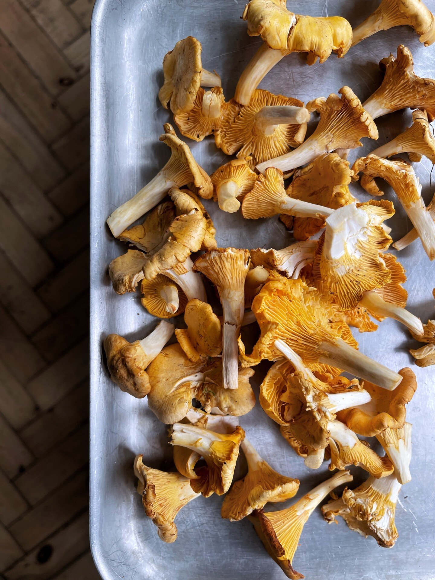 We are girolles-ing into the weekend

#townsendrestaurant
.
.
.
.
#girollesmushrooms #girolles #mushrooms #funghi #foodpuns #punny #mushroompun #mushroomseason #freshproduce