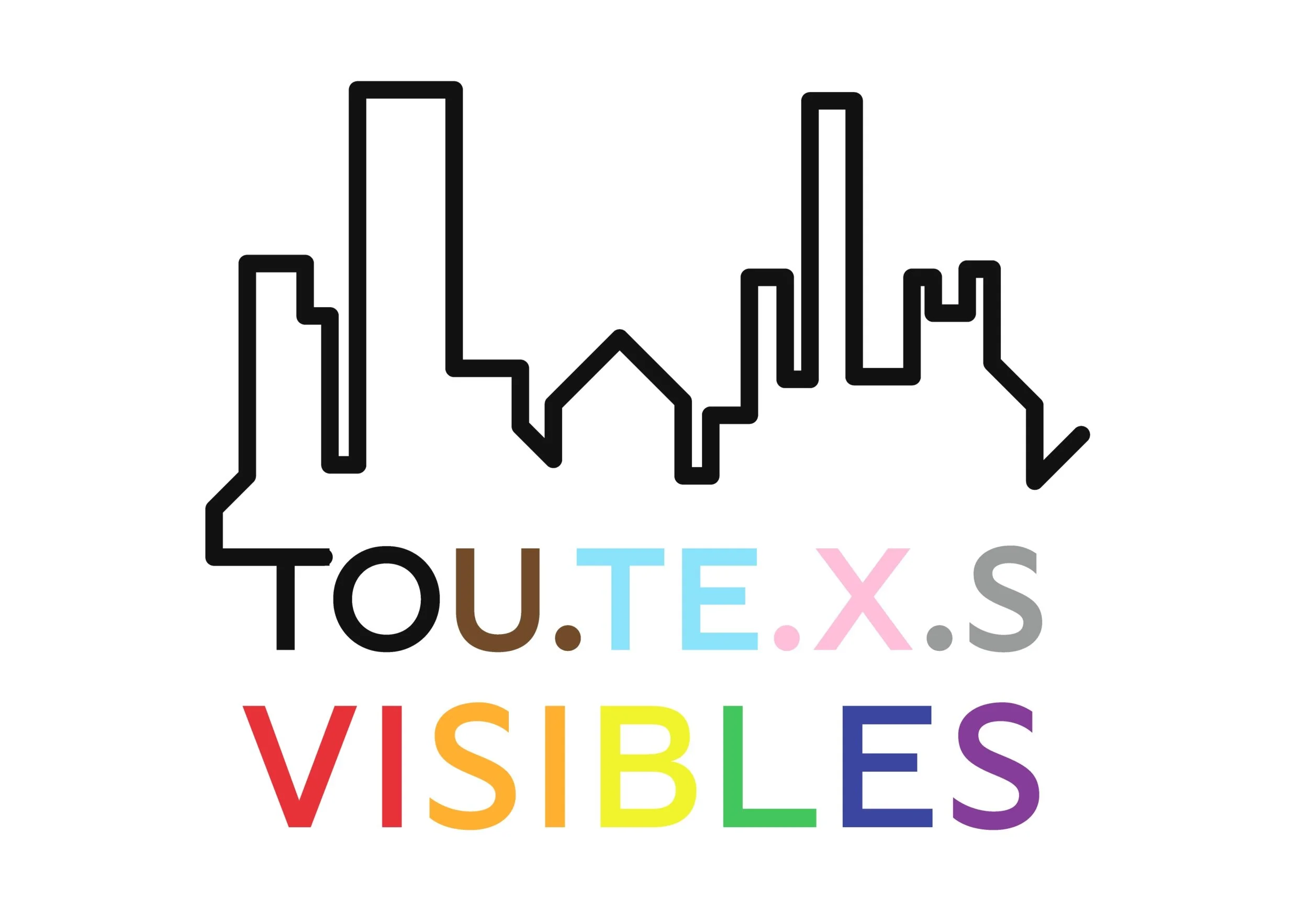 Ce projet a été réalisé au sein de l’association Tou·te·x·s visibles