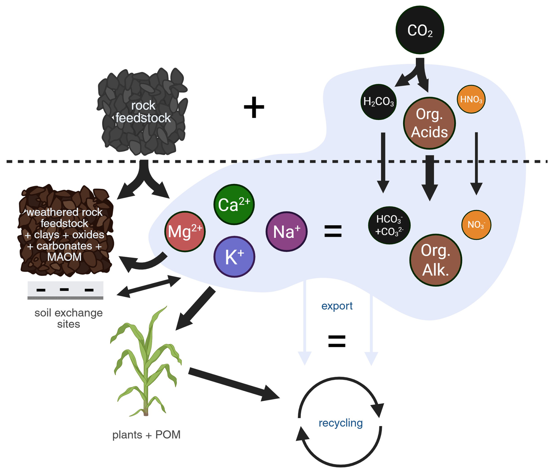 New paper: Carbon vs. cation-based MRV for Enhanced Rock Weathering (and why we should check how much soil carbon matters)