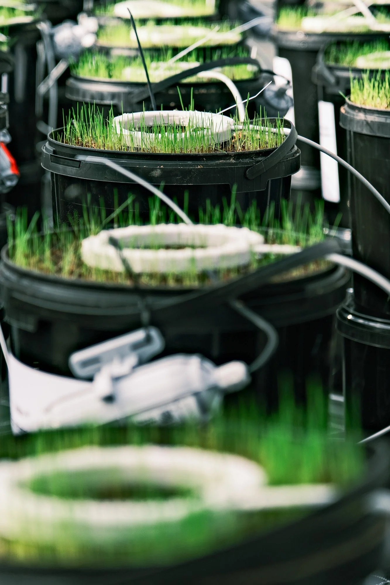 (9/9) Overall Discussion and Conclusion