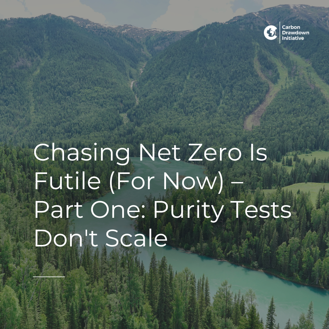Chasing Net Zero Is Futile (For Now) — Invest Your Ambitions Into Changing Systems Instead